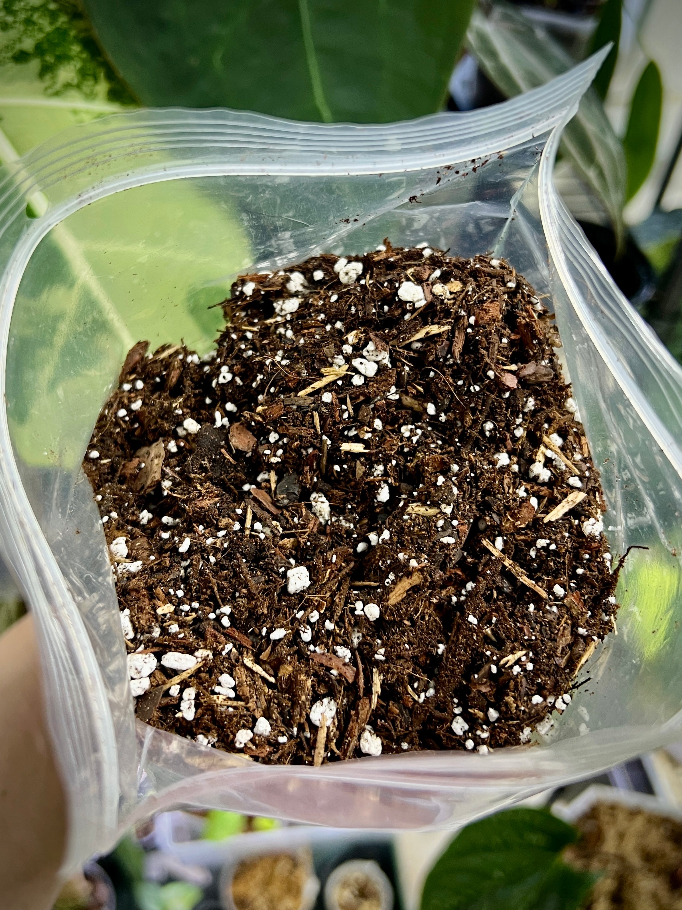 Fine Seedling Mix - Potting Substrate