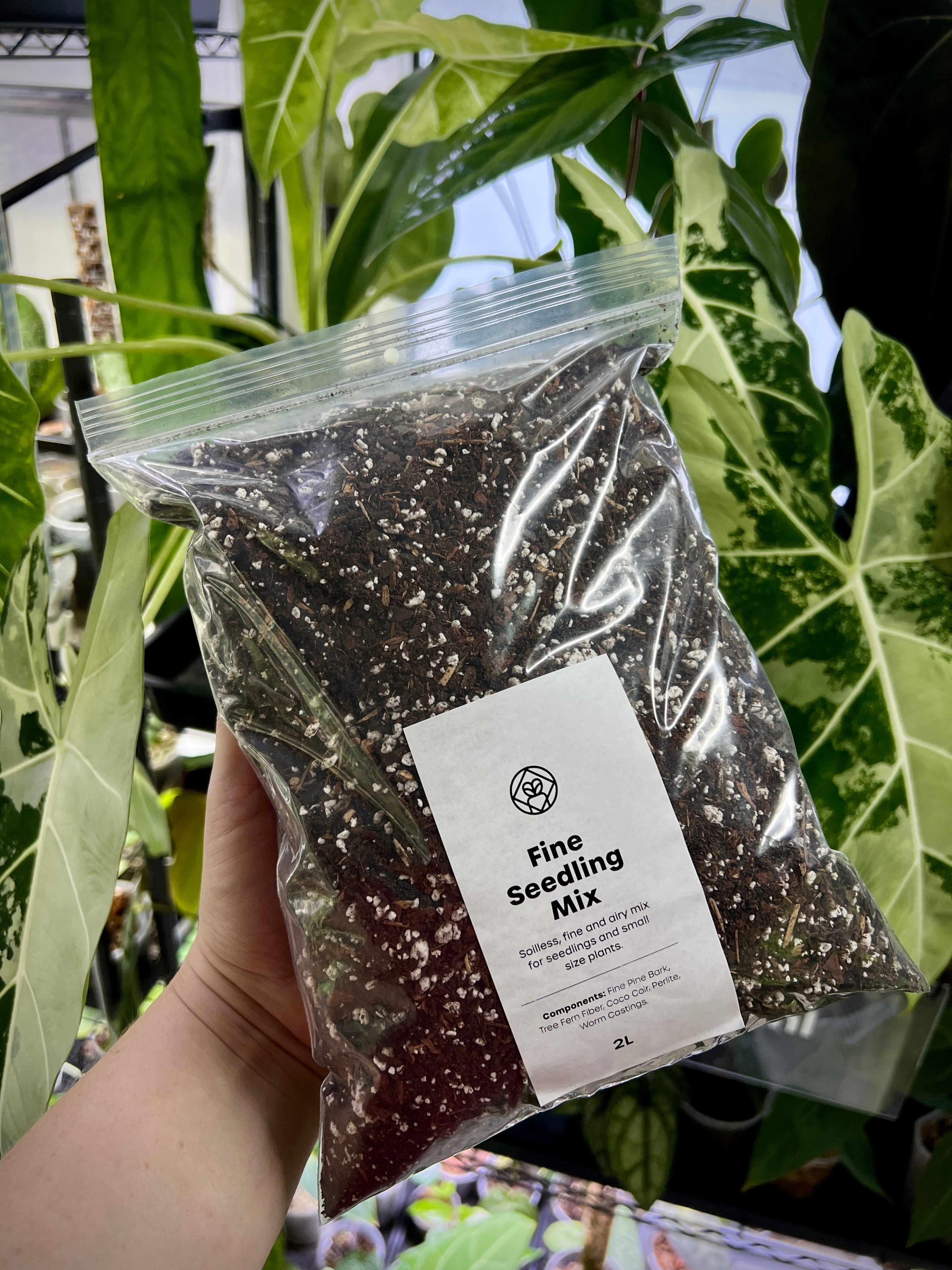 Fine Seedling Mix - Potting Substrate