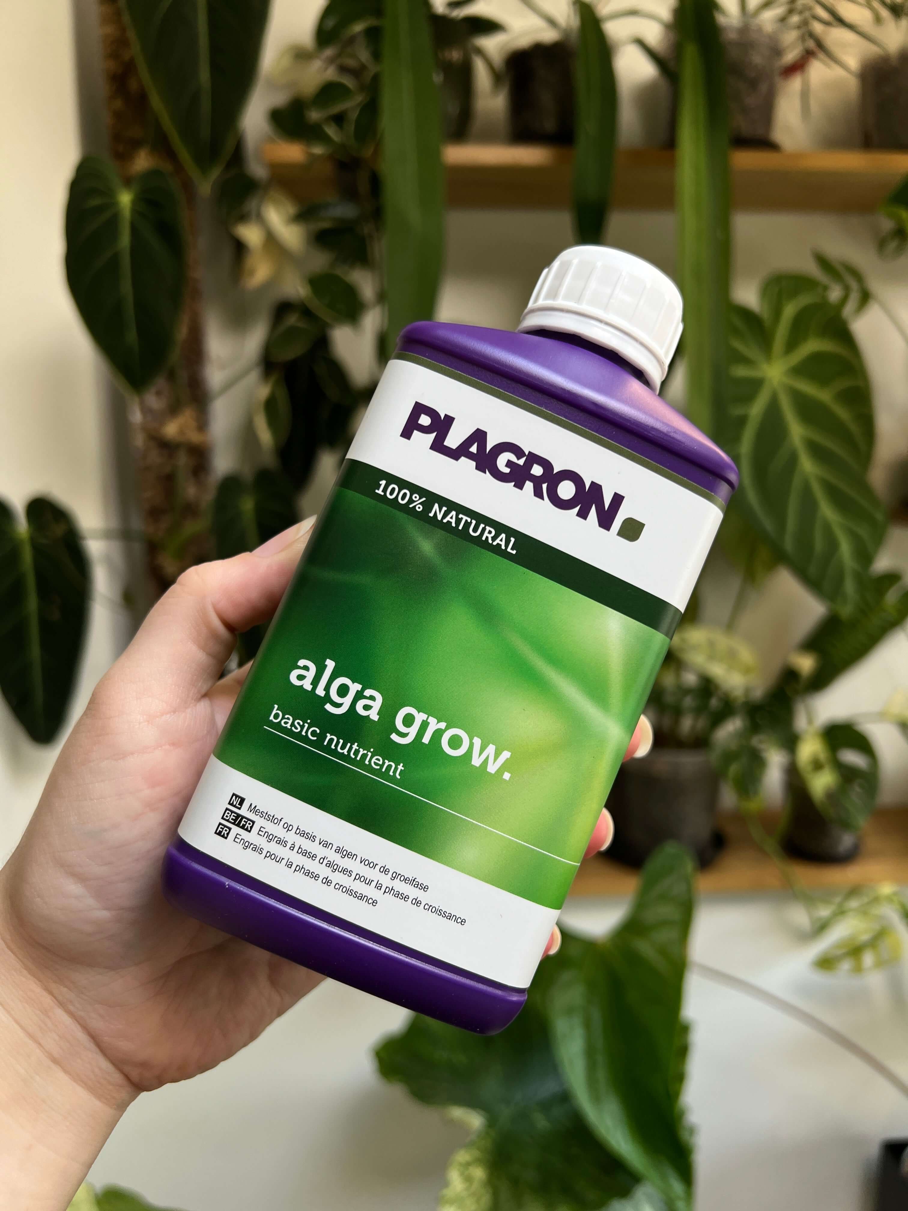 Plagron Alga Grow - SMUKHI
