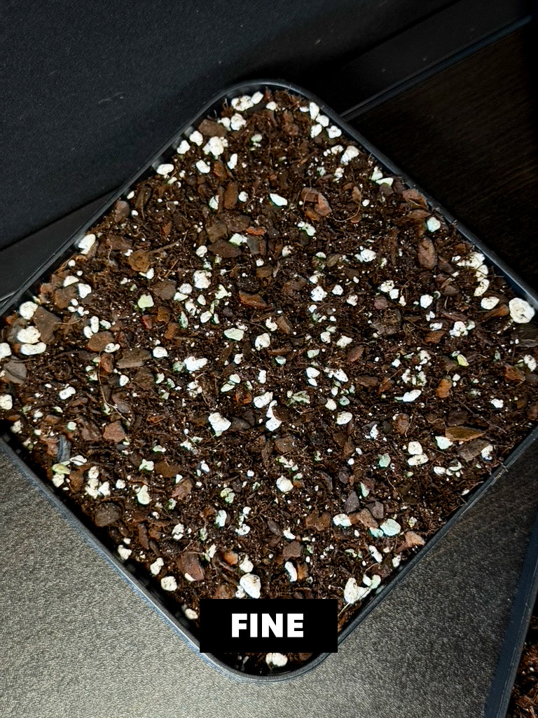 Aroid Mix 'Chunky Cruesli' - 5L - SMUKHI
