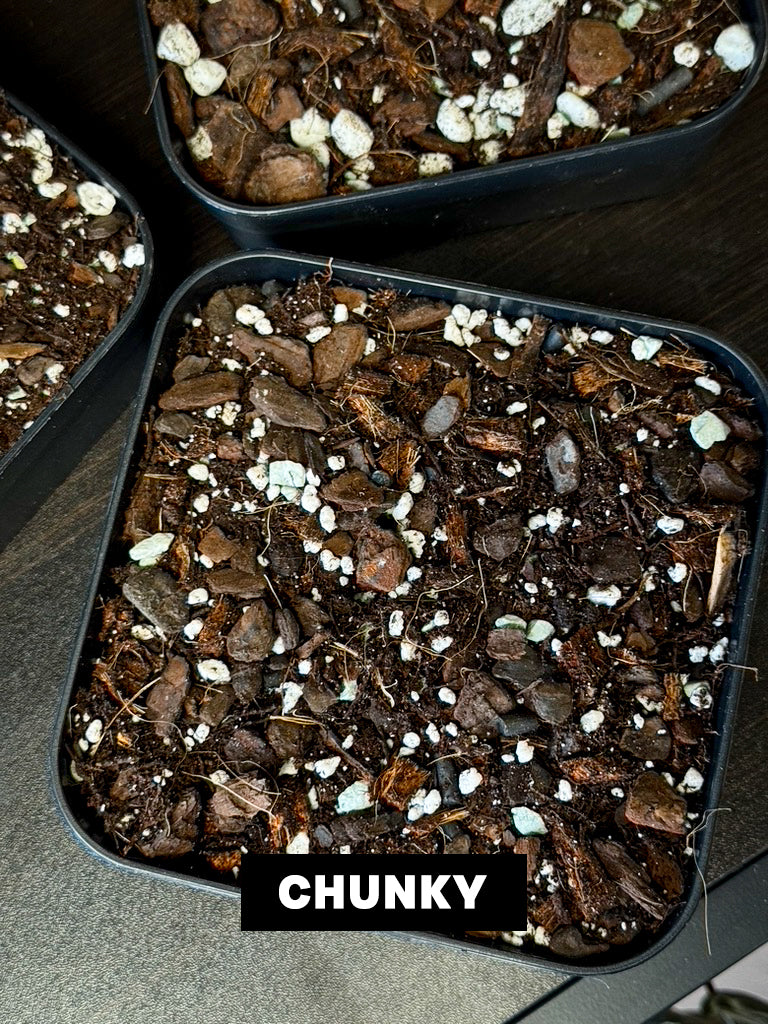Aroid Mix 'Chunky Cruesli' - 5L - SMUKHI
