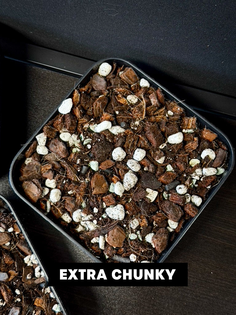 Aroid Mix 'Chunky Cruesli' - 5L - SMUKHI