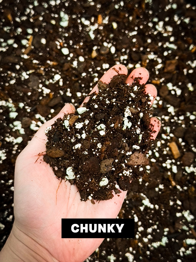 Aroid Mix 'Chunky Cruesli' - 5L - SMUKHI