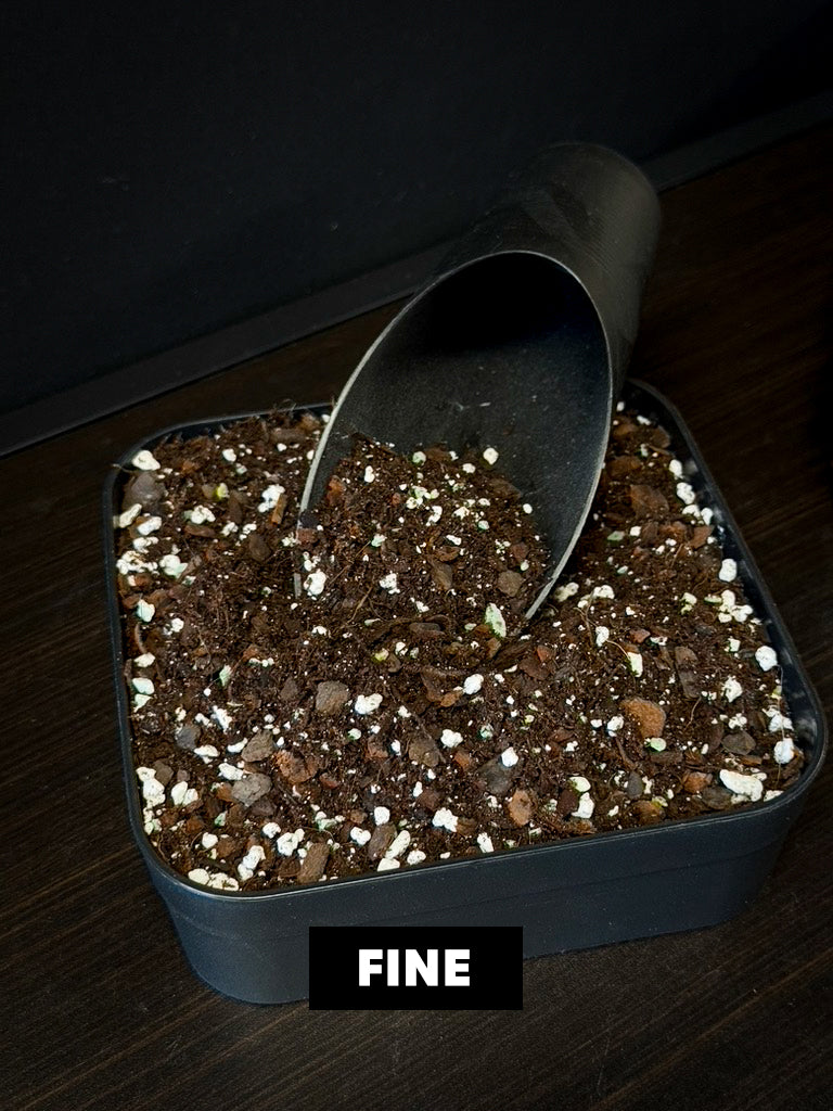 Aroid Mix 'Chunky Cruesli' - 5L - SMUKHI