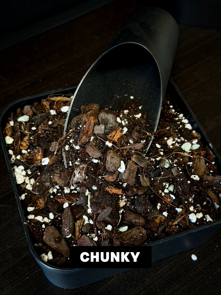 Aroid Mix 'Chunky Cruesli' - 5L - SMUKHI
