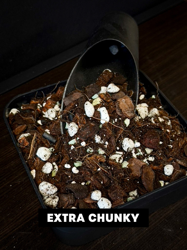 Aroid Mix 'Chunky Cruesli' - 5L - SMUKHI