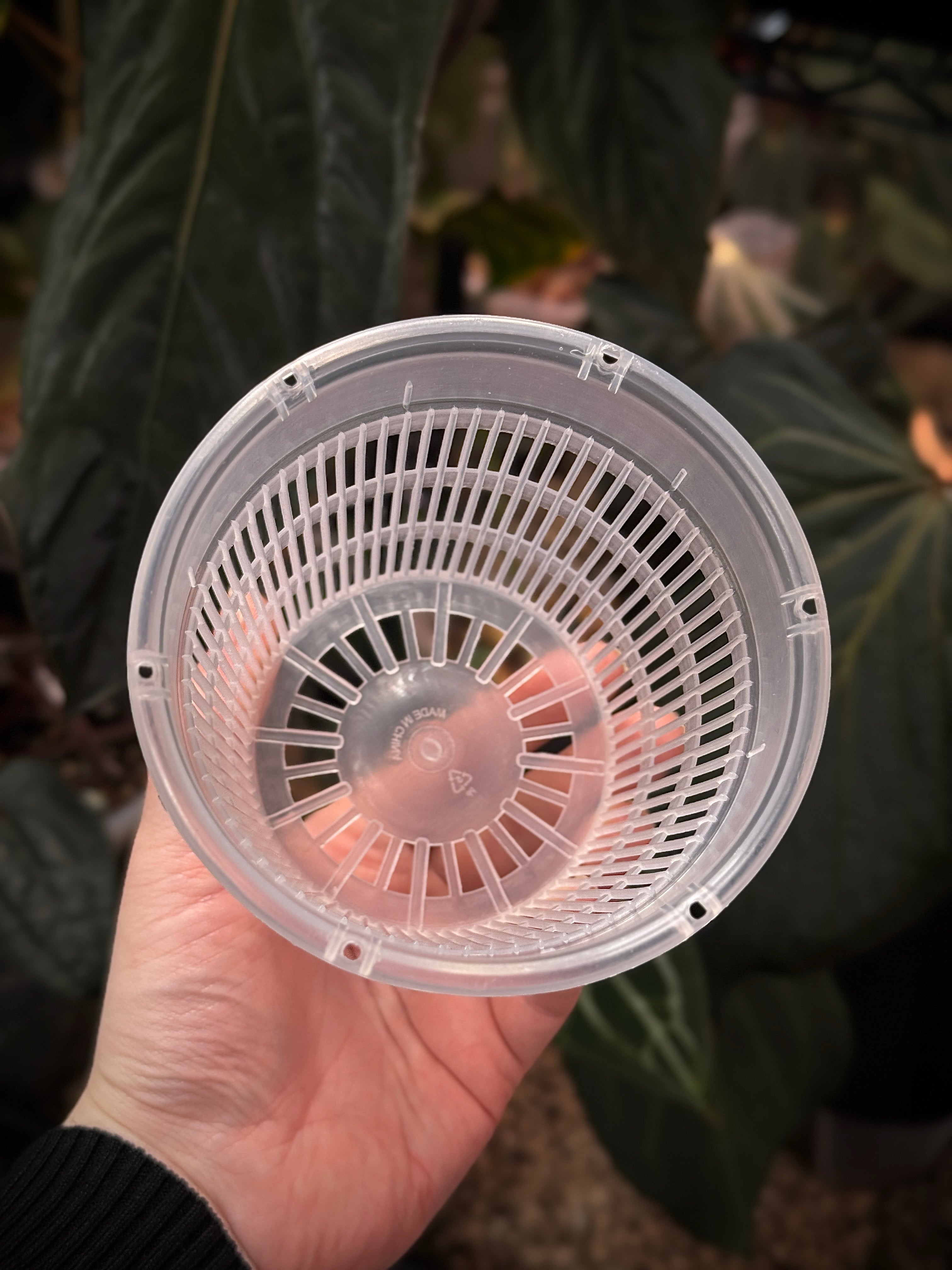 Hydroponic Mesh Pots