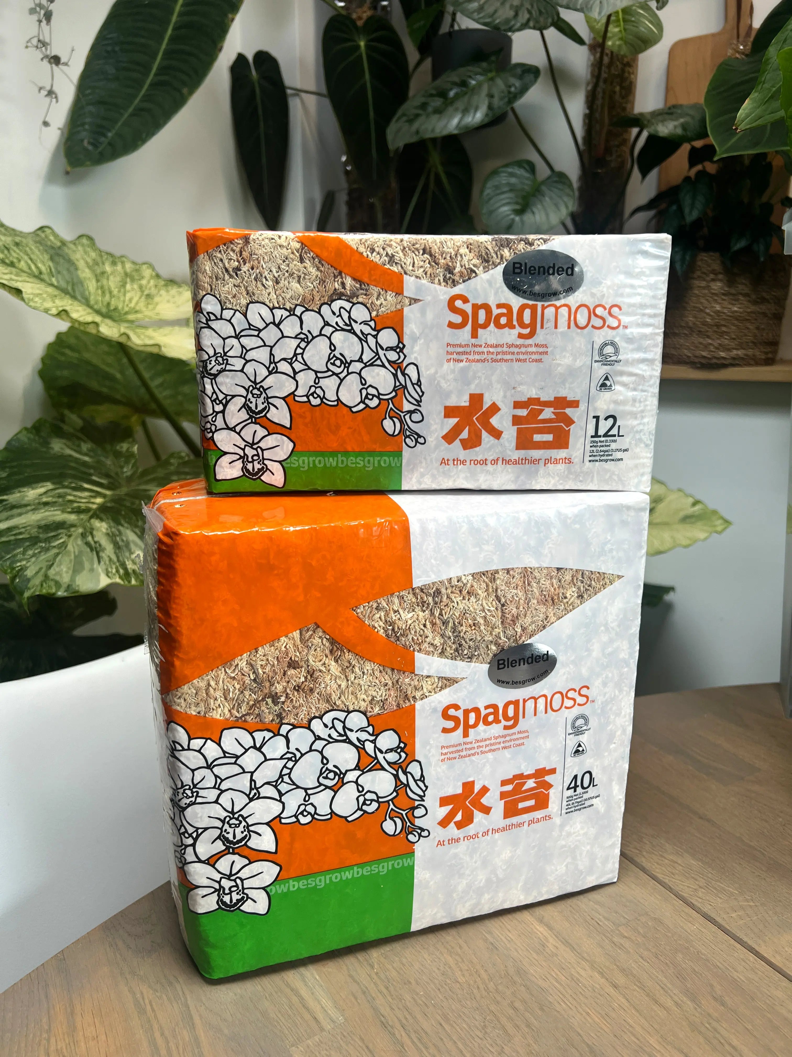 Besgrow Spagmoss - New-Zealand Sphagnum Moss - SMUKHI