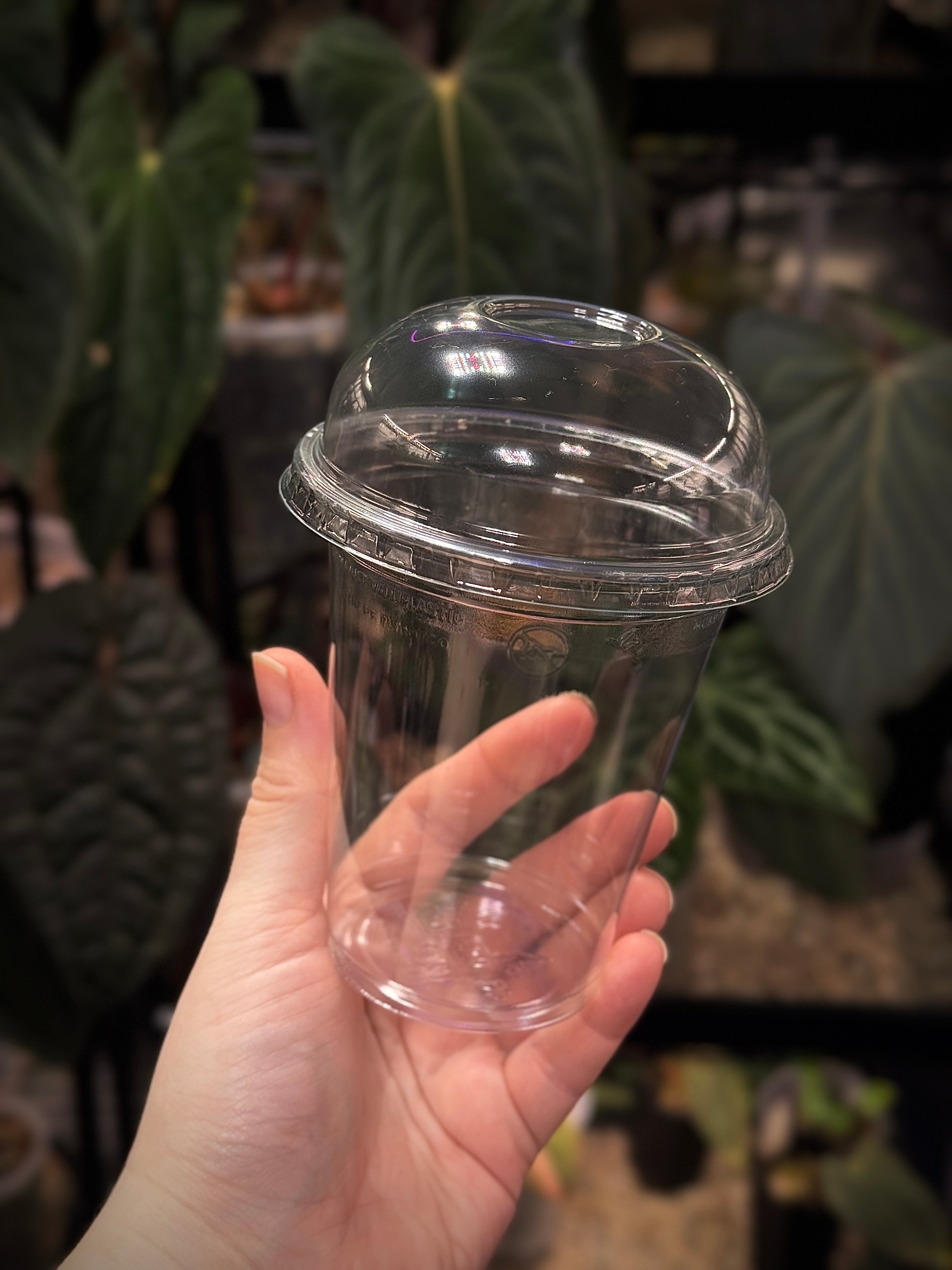 Plastic Cup With Dome Lid - 5 pcs
