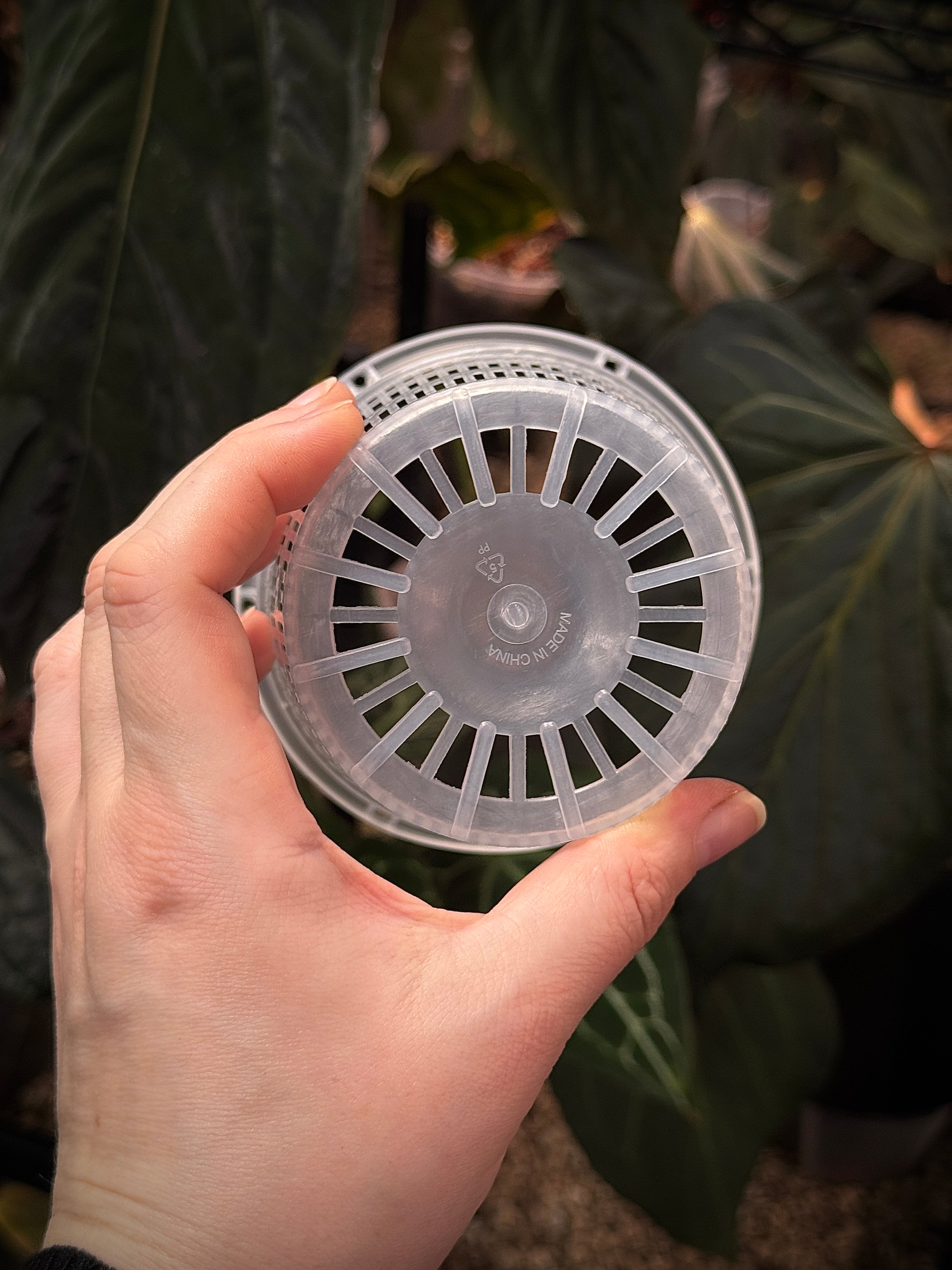 Hydroponic Mesh Pots