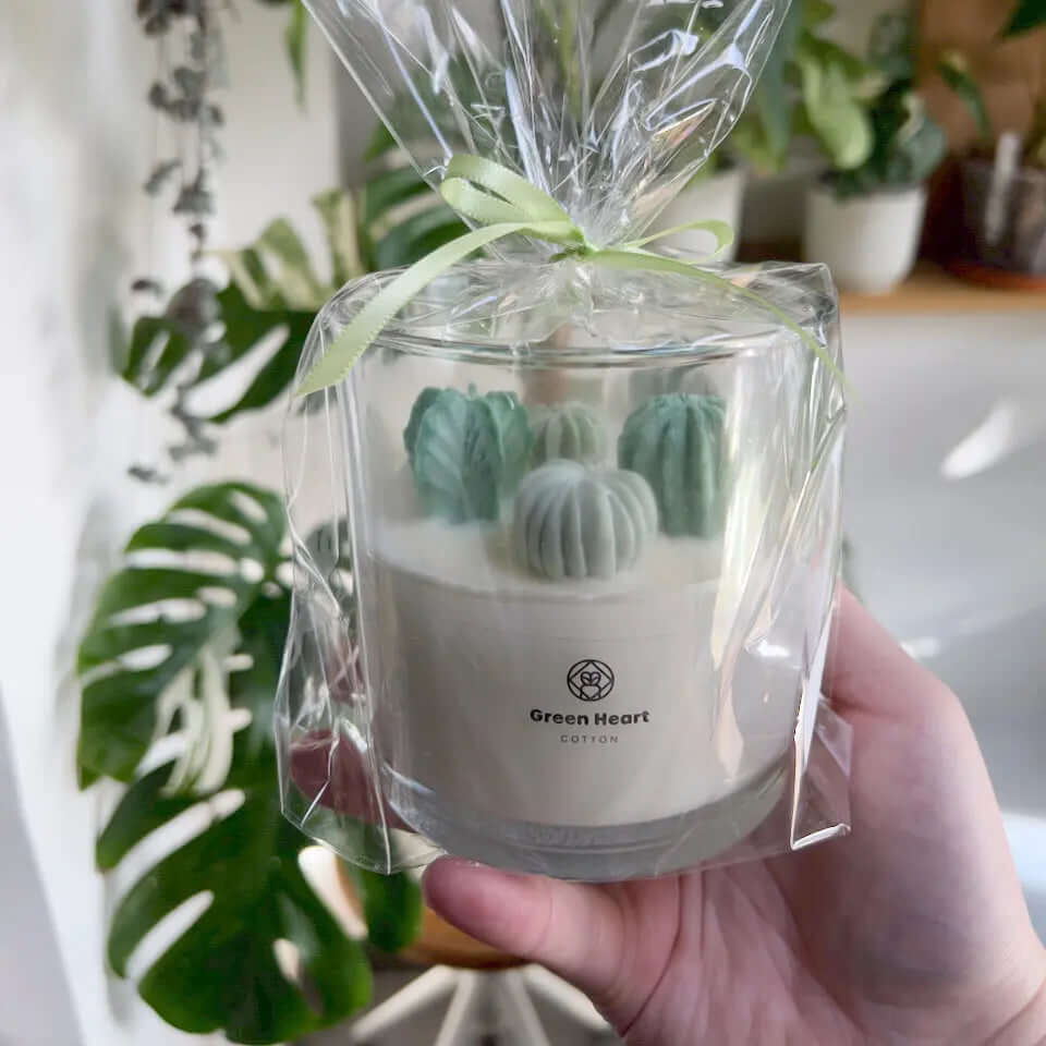 Cactus Terrarium Candle, Scented - Handmade - Soy Wax - SMUKHI