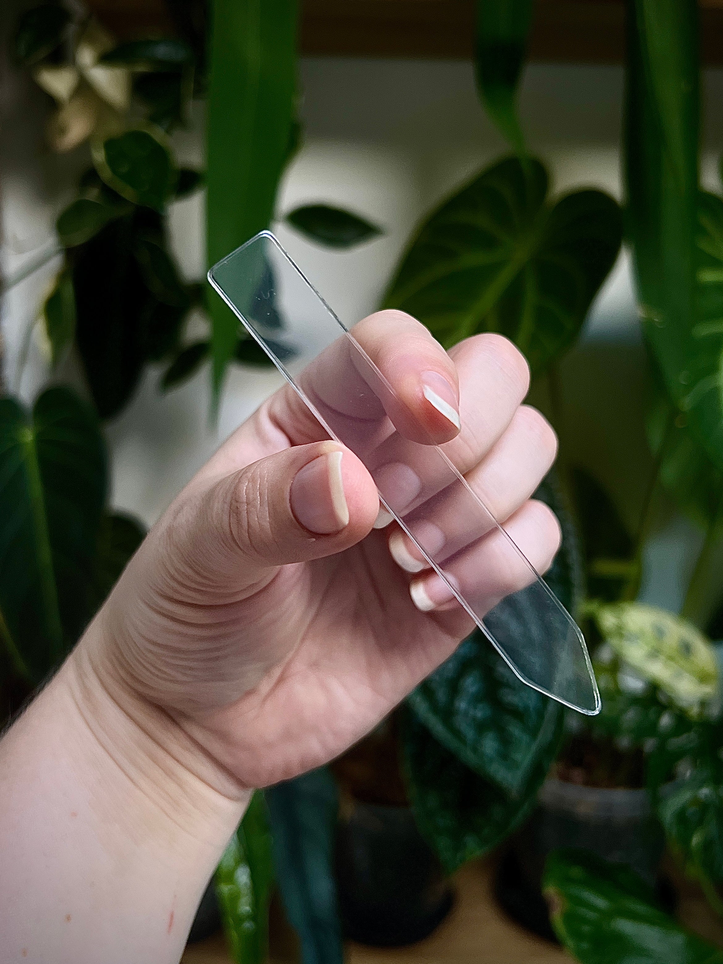 Clear Plant Tags - Acrylic - 10-Pack