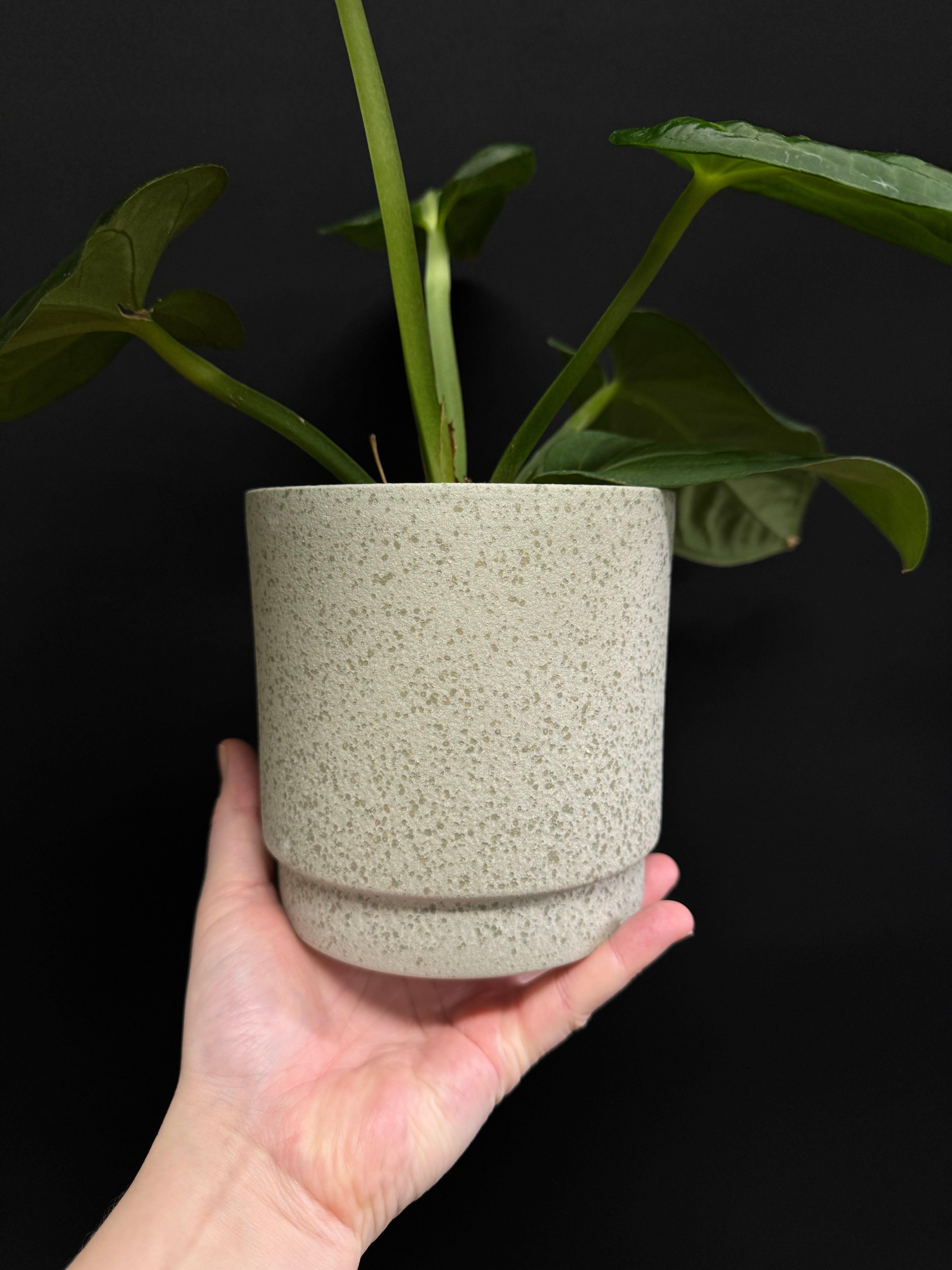 Eno Plant Pot - Sand Green
