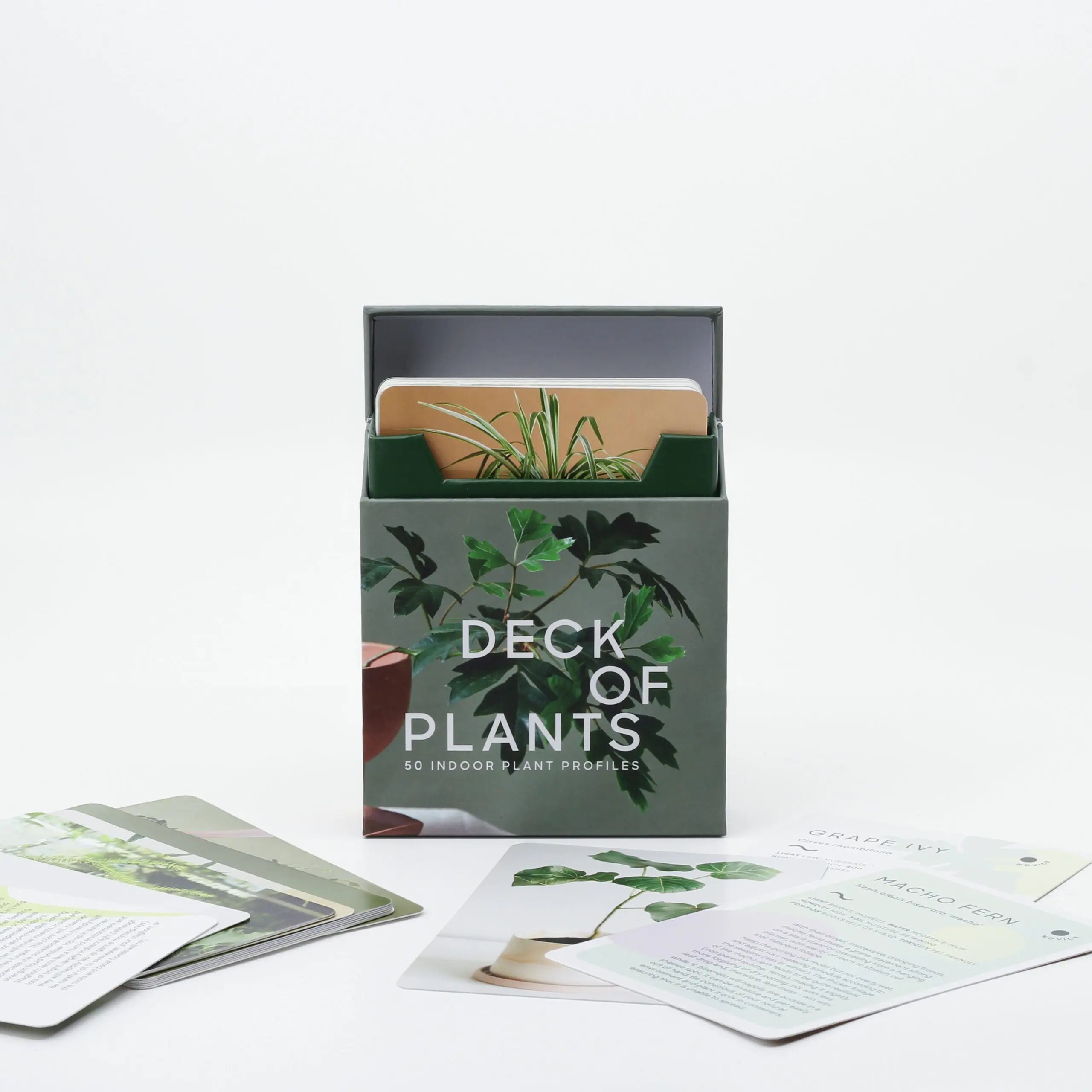 Leaf Supply Deck of Plants - 50 Indoor Plant Profiles - SMUKHI