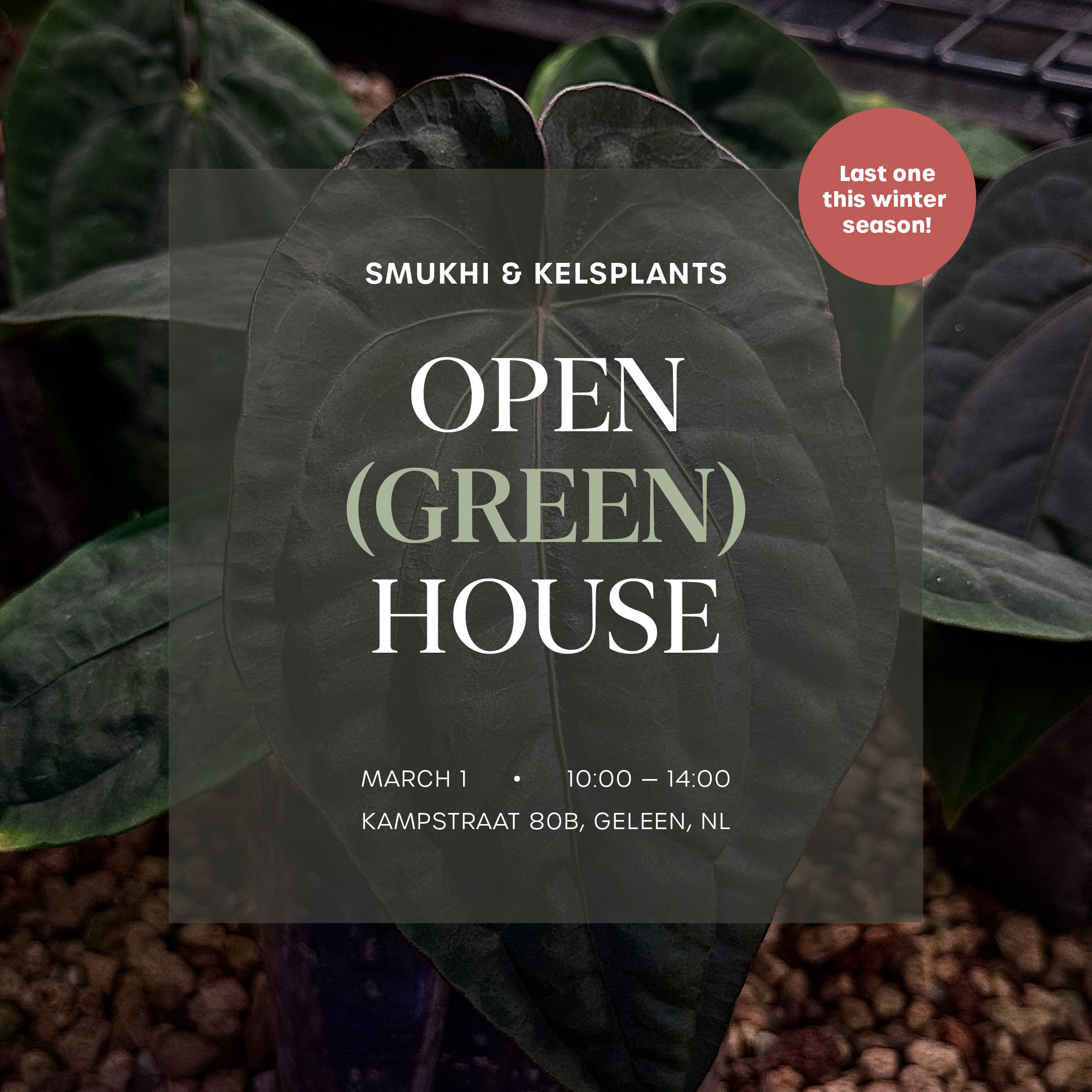 Open House - Free Entry Ticket