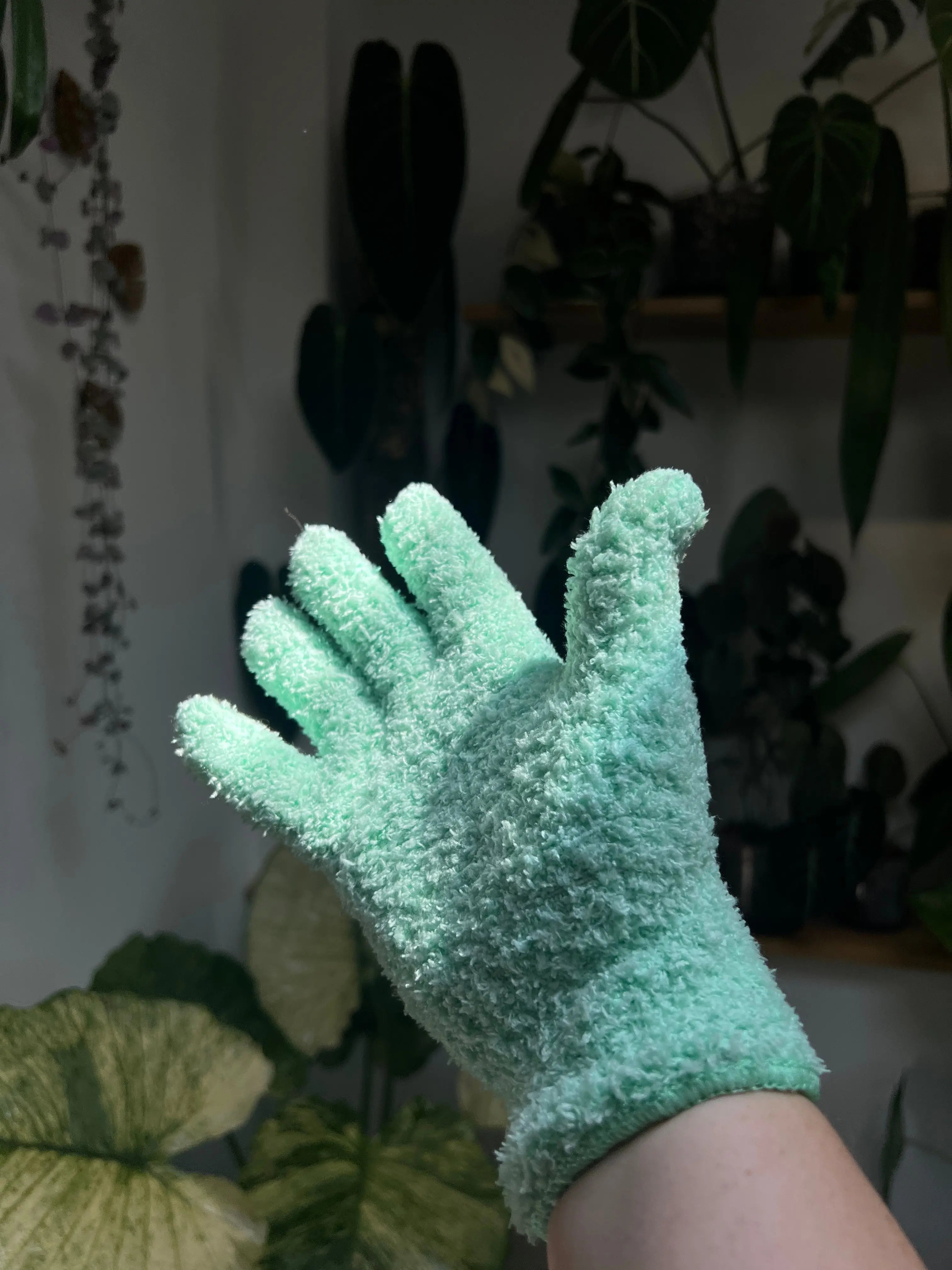 Microfiber Dusting Gloves For Plants - Set of 2 - SMUKHI