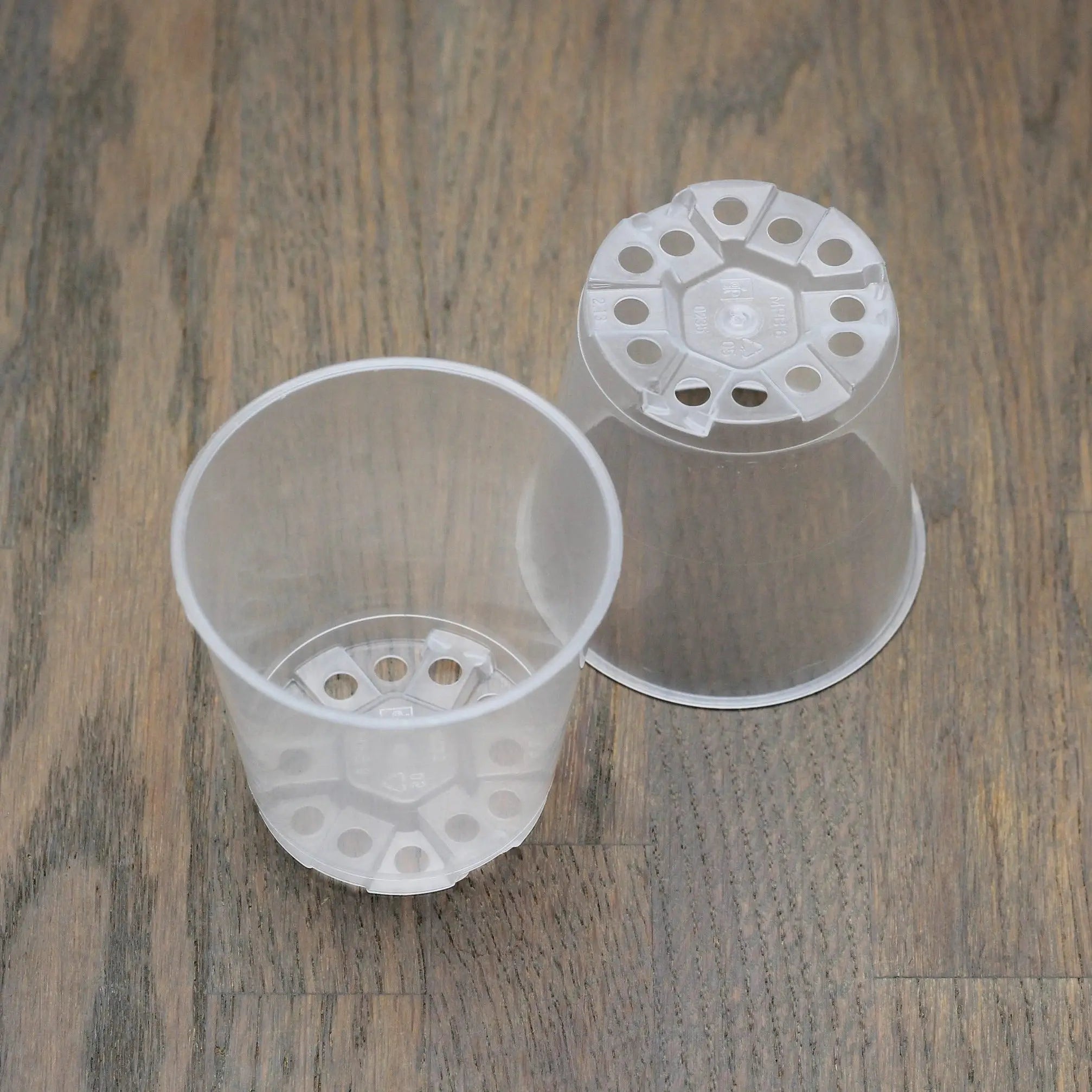 Mini Plastic Plant Pot - Transparent - 6 cm - Set of 10 - SMUKHI