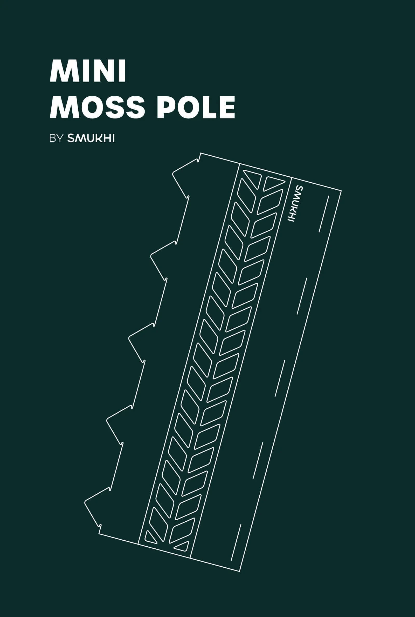 Clear Moss Pole Hex - Various Sizes - SMUKHI Plant Shop
