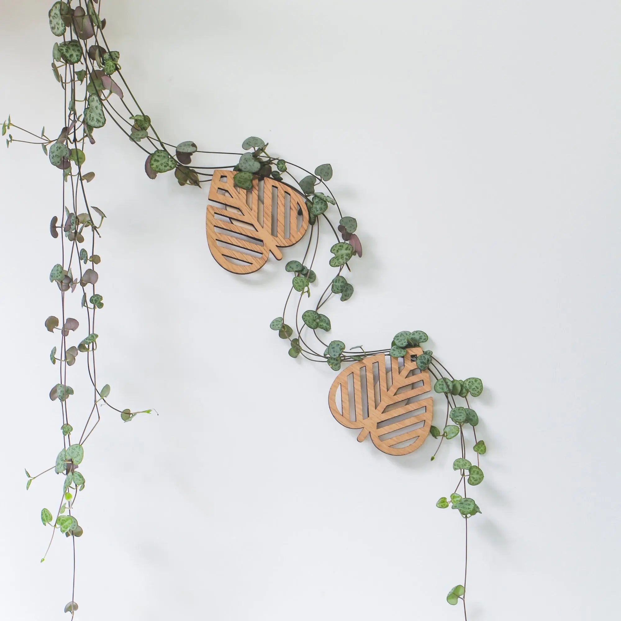 Plant Climbing Wall Supports "Climbing Leaves" - Set of 3 - SMUKHI