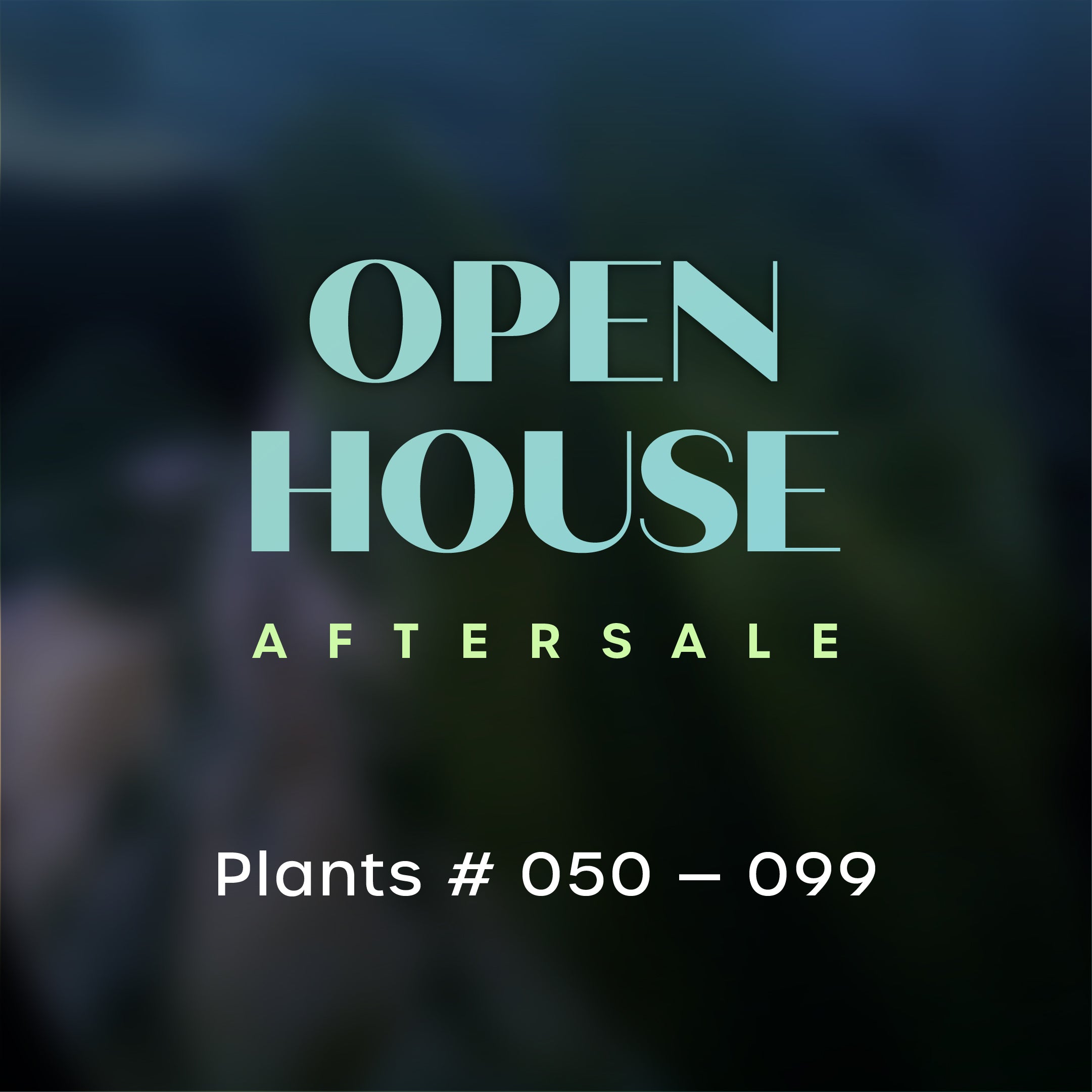 Open House Aftersale - Part 2 (050 - 099)