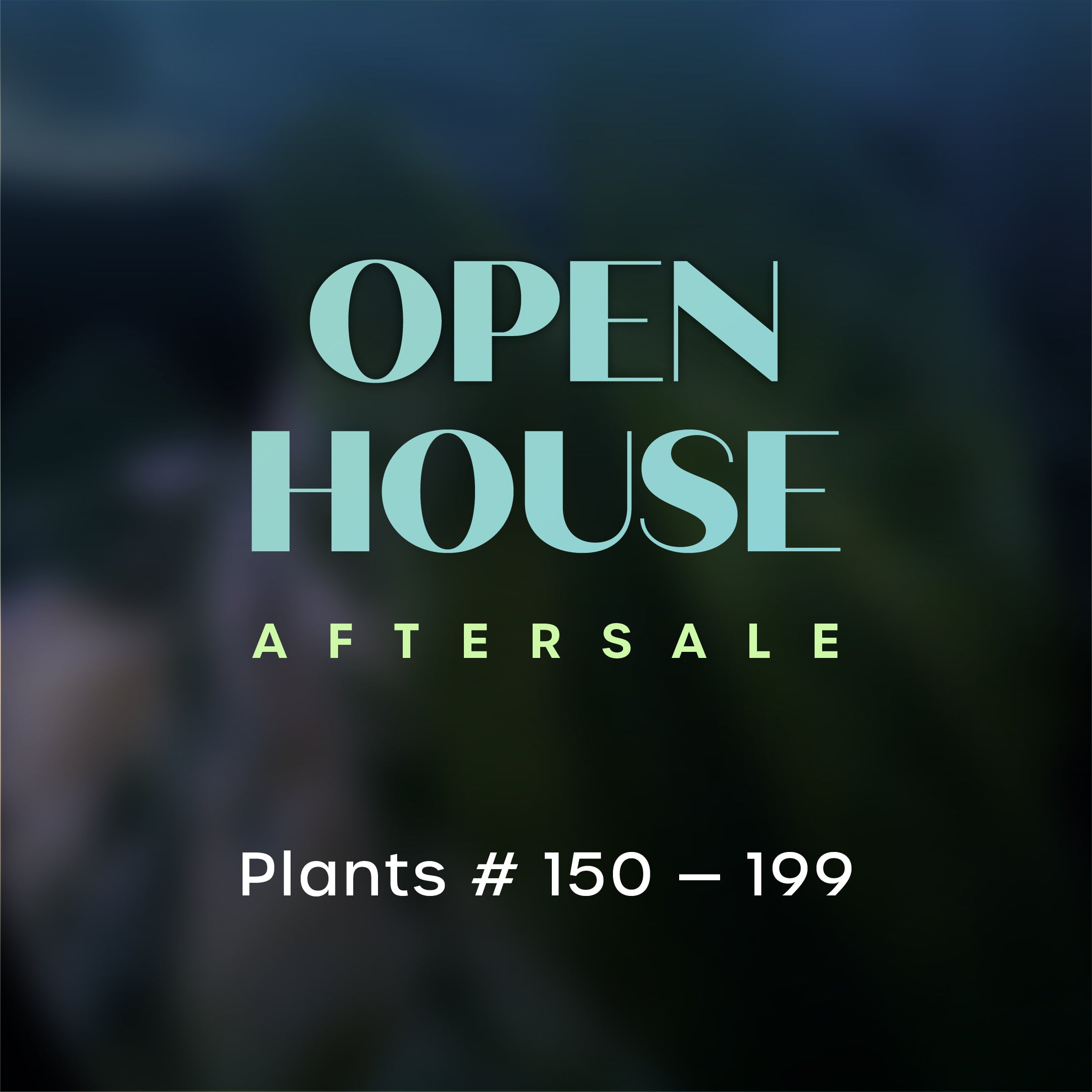 Open House Aftersale - Part 4 (150 - 199)