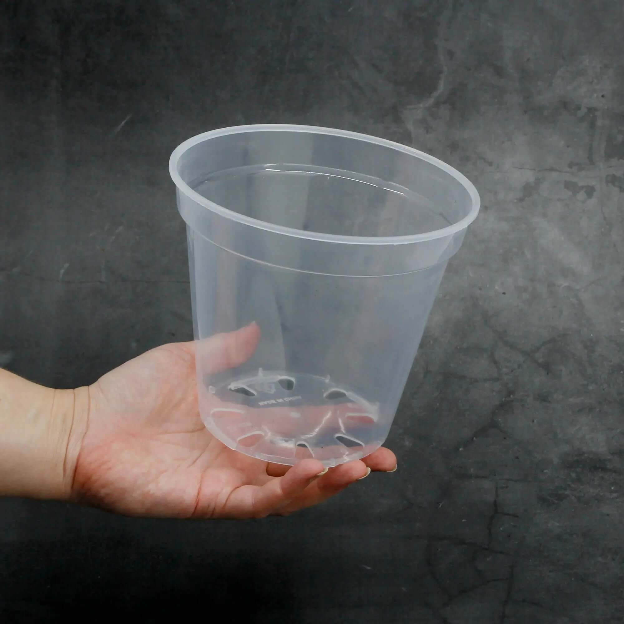 Plastic Plant Pots - Transparent - Round - SMUKHI