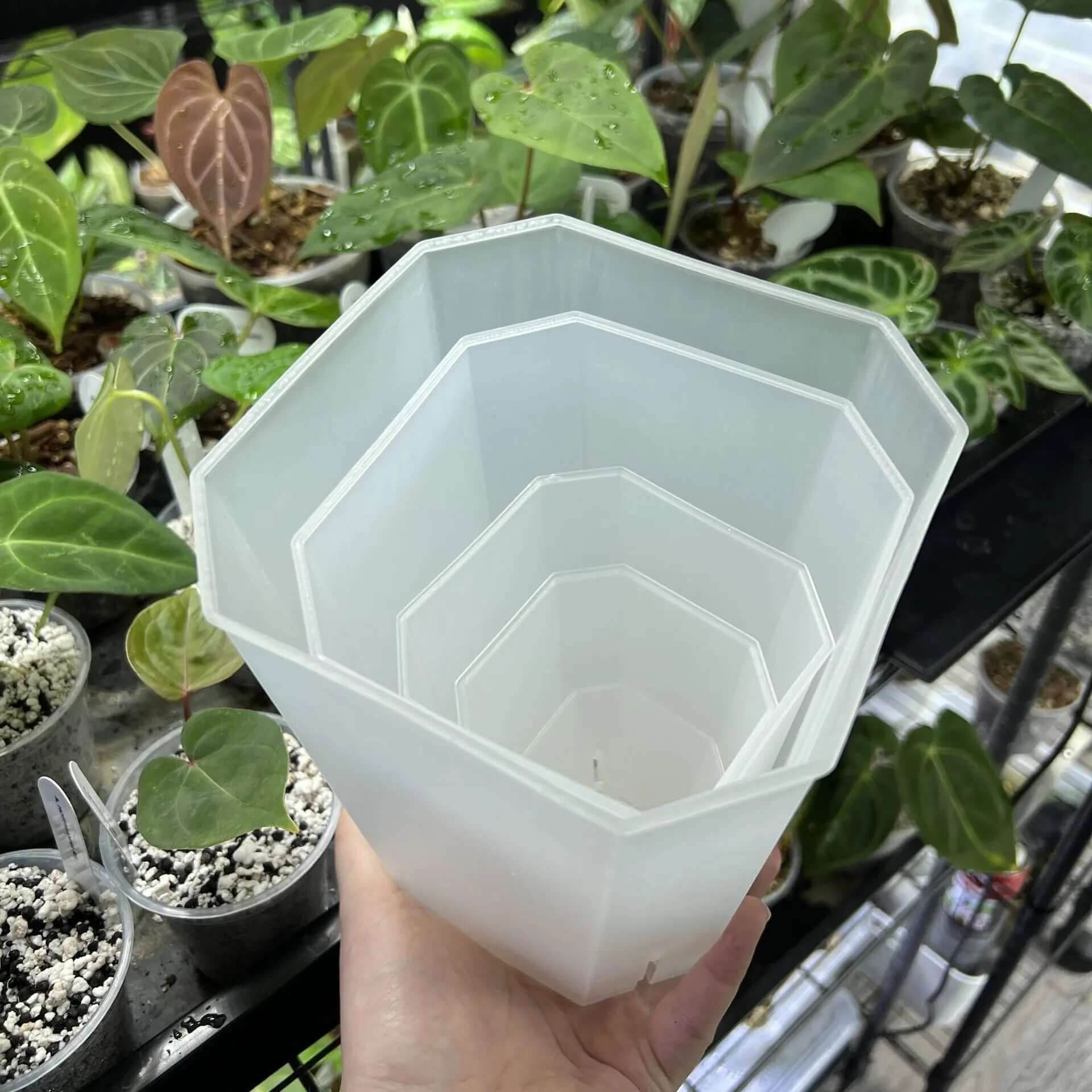 T4U 4 Pcs Pot à Réserve d'eau Rond en Plastique Blanc 15 cm, Pot