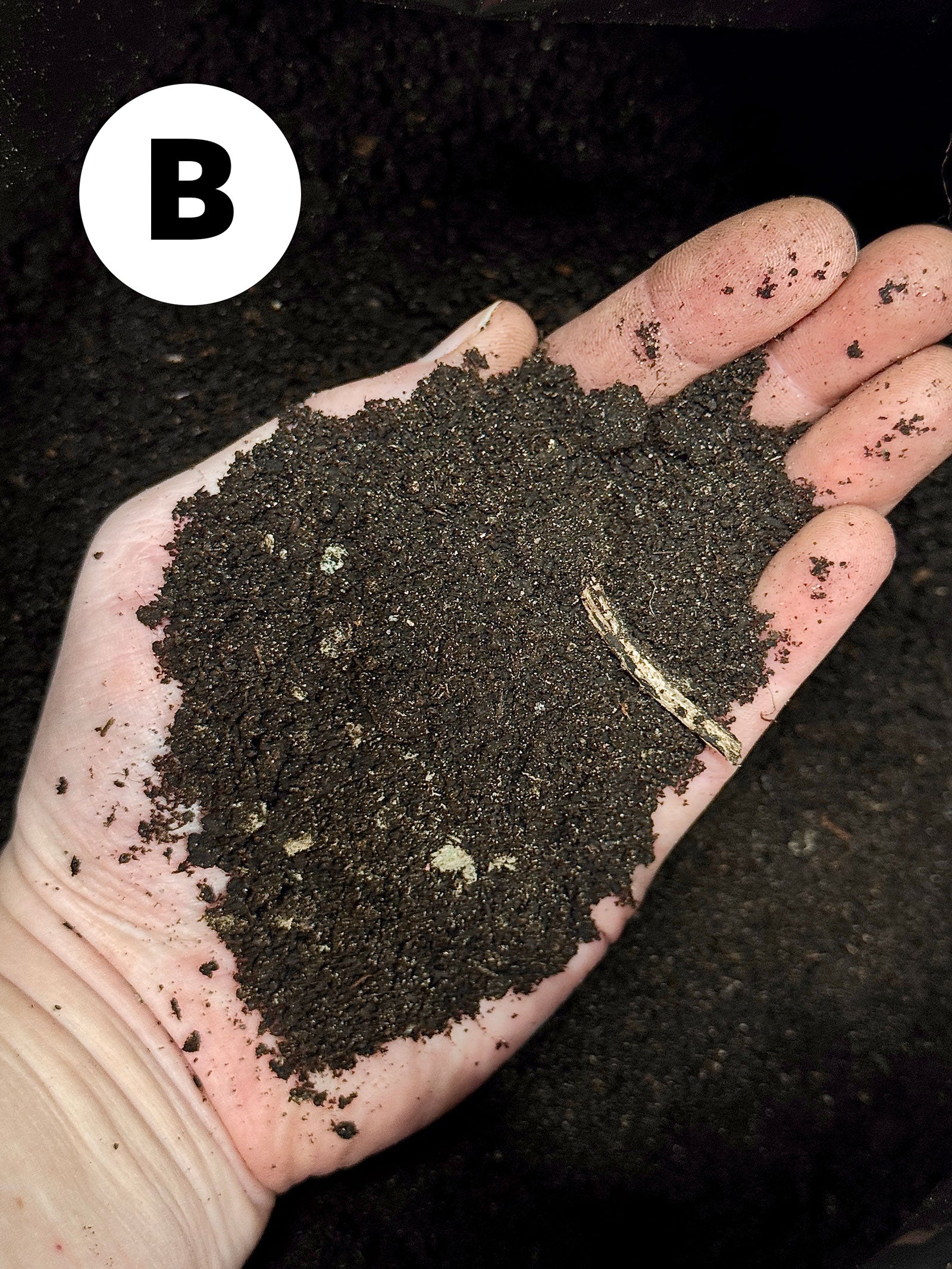 B-grade worm castings substrate by SMUKHI showing rich, dark organic soil suitable for gardening and plant growth.