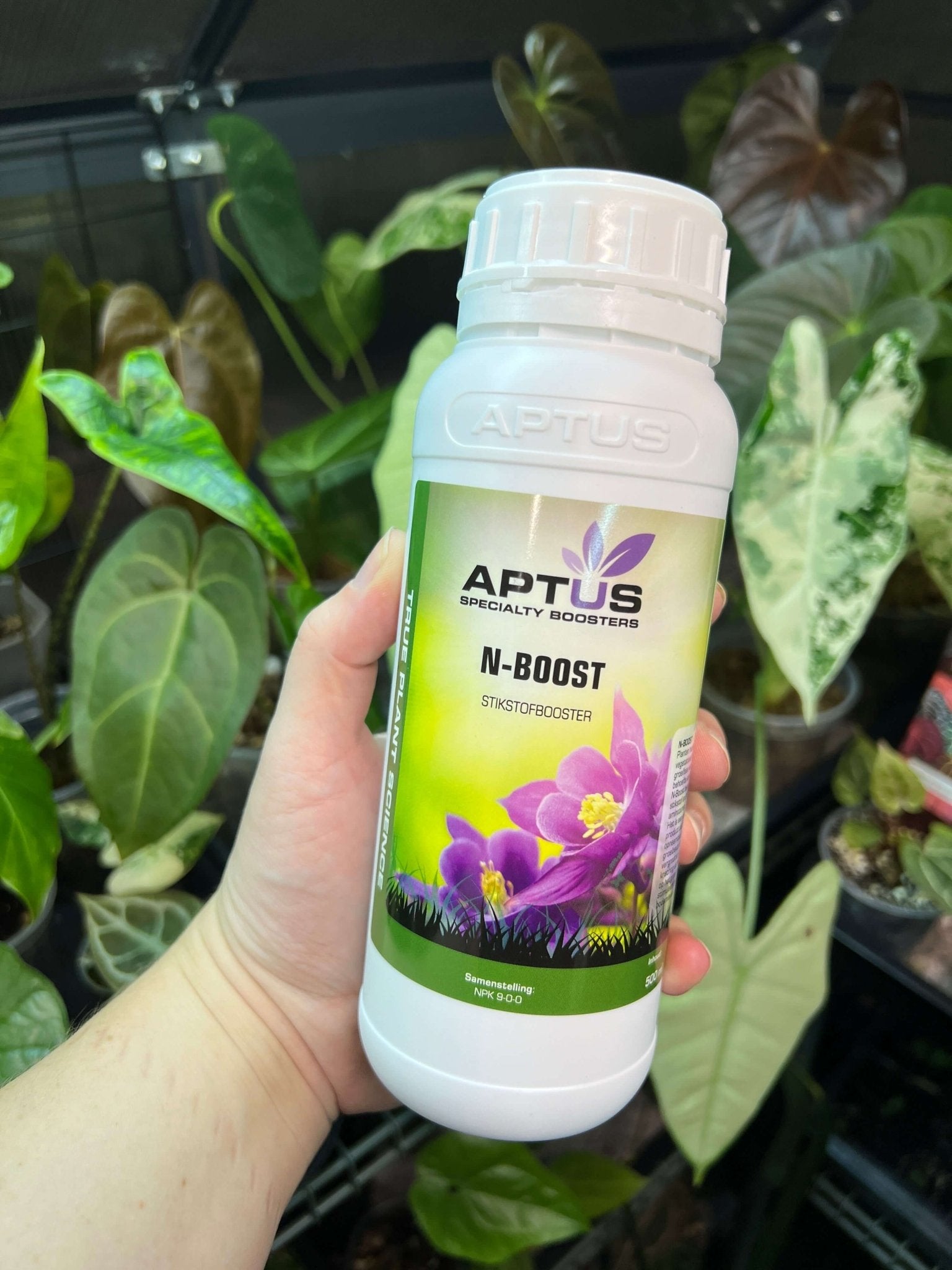 Aptus N - Boost - SMUKHI