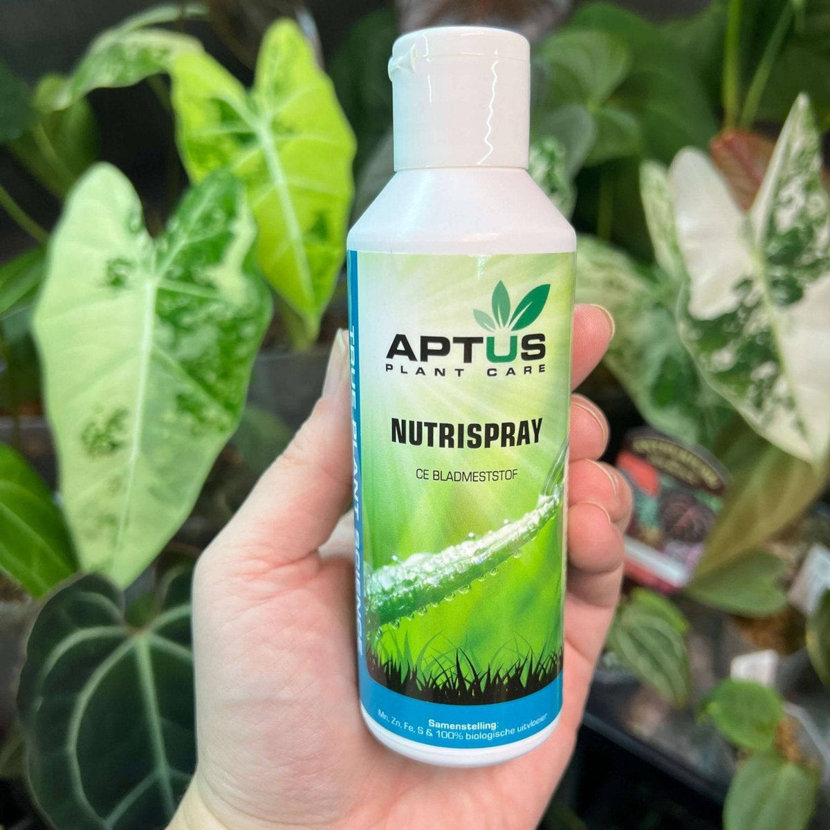 Aptus NutriSpray - Concime Fogliare Liquido 50ml Con Microelementi E Tensioattivi Naturali Per Piante - 5