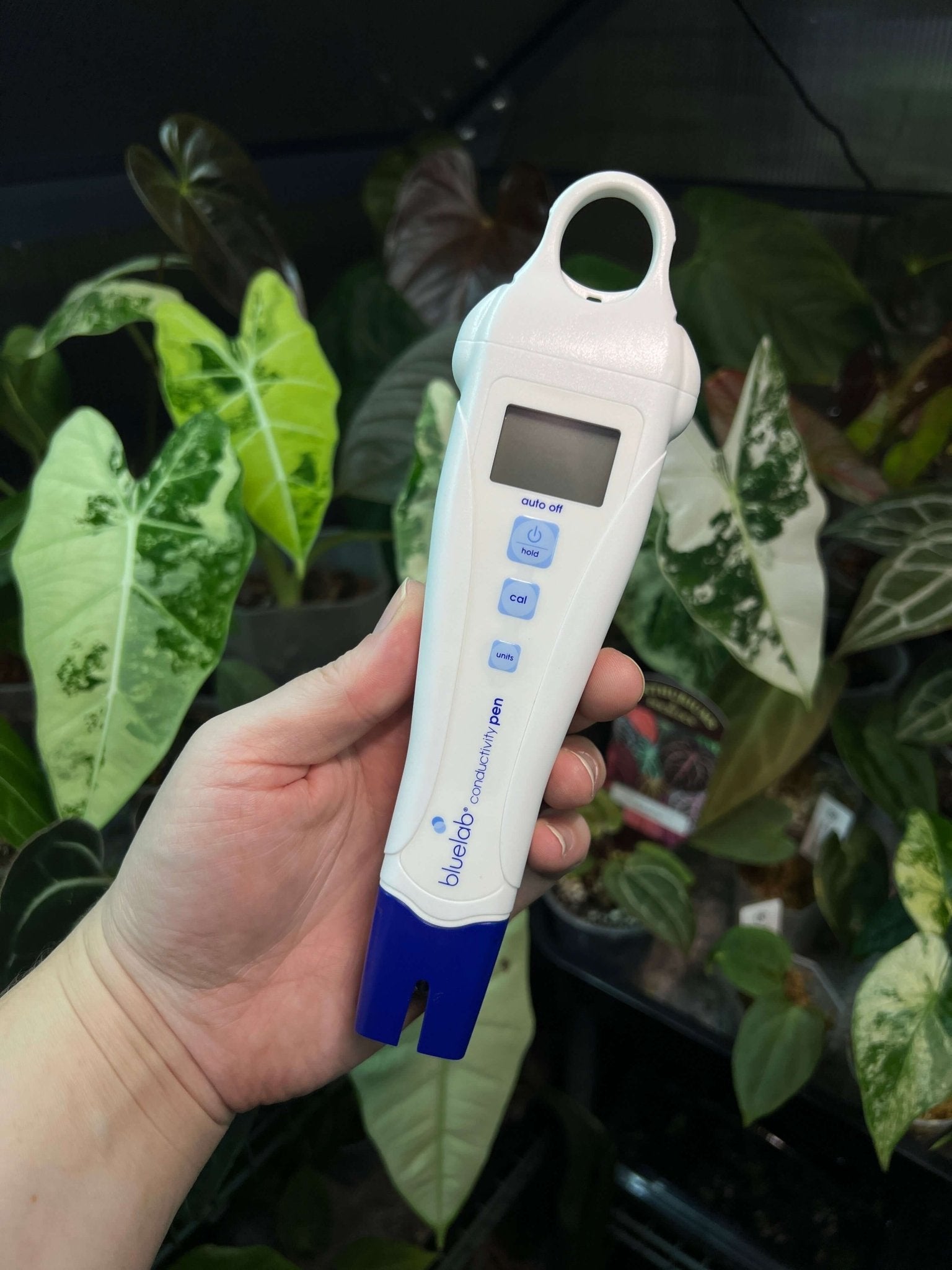 Bluelab Conductivity (EC) Pen - SMUKHI