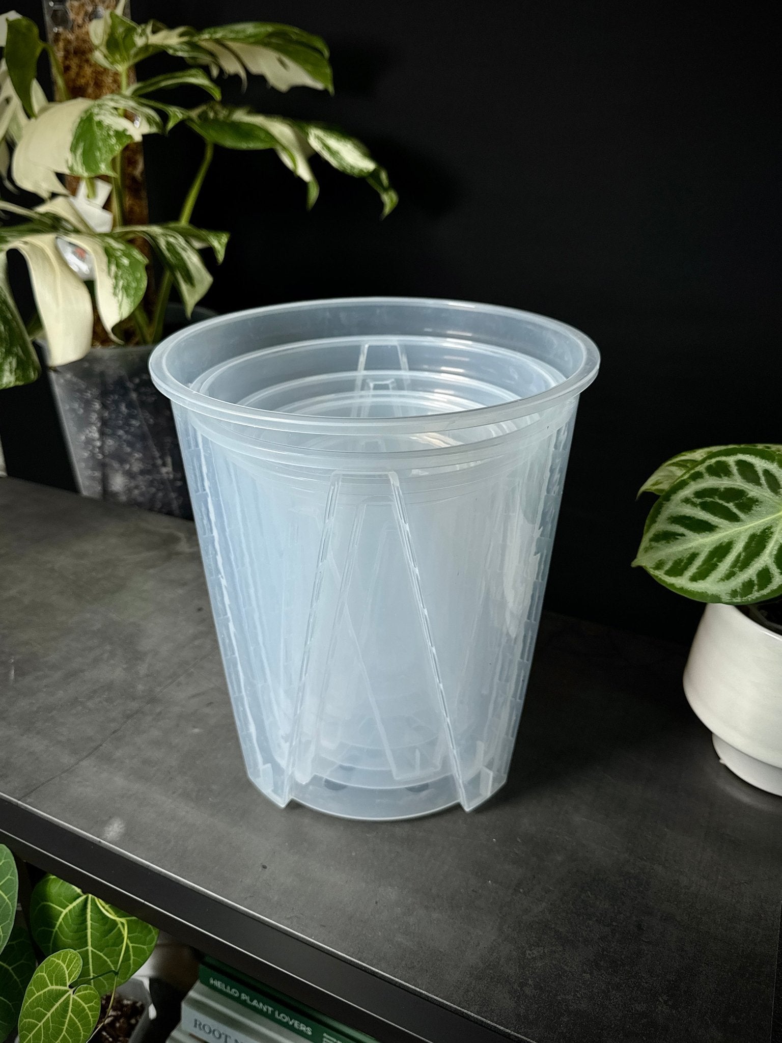 Clear Anti - Spiral Aroid Pots - SMUKHI