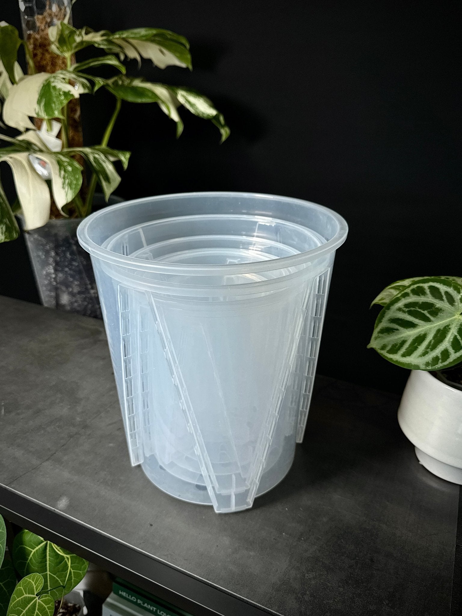 Clear Anti - Spiral Aroid Pots - SMUKHI