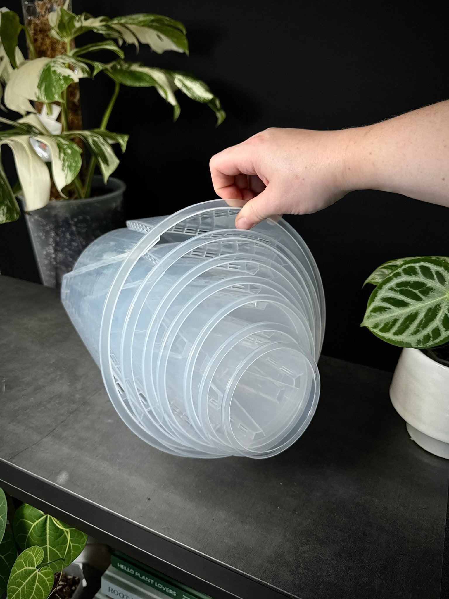 Clear Anti - Spiral Aroid Pots - SMUKHI