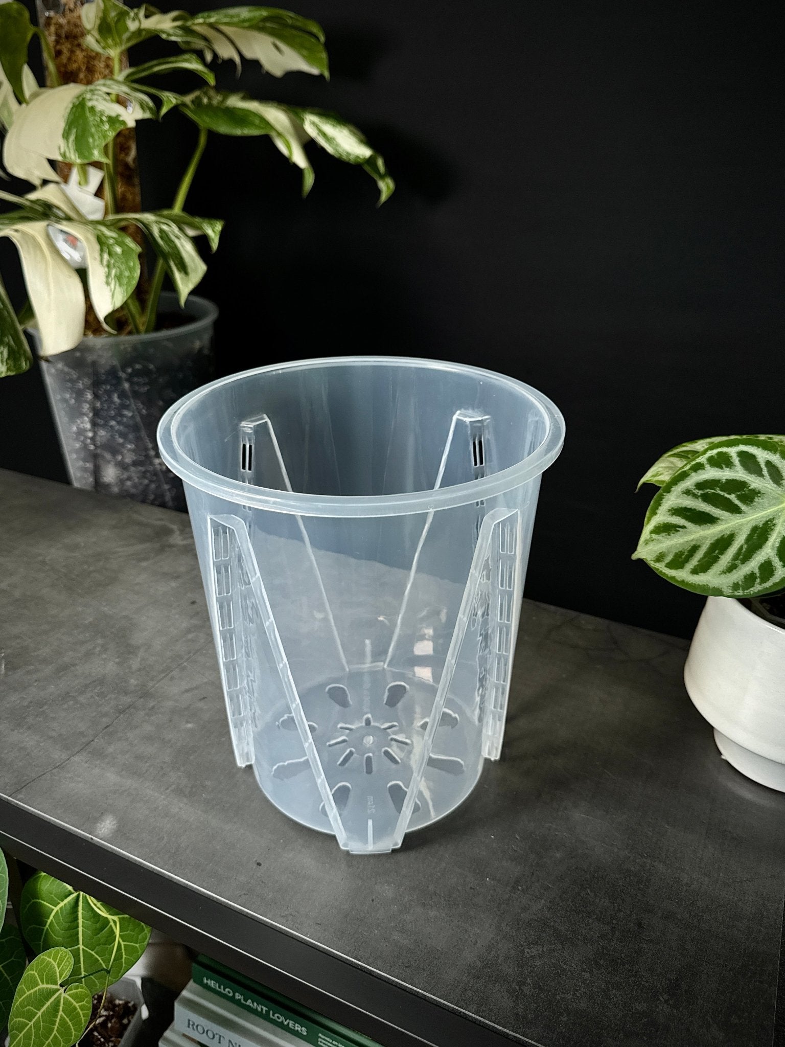 Clear Anti - Spiral Aroid Pots - SMUKHI