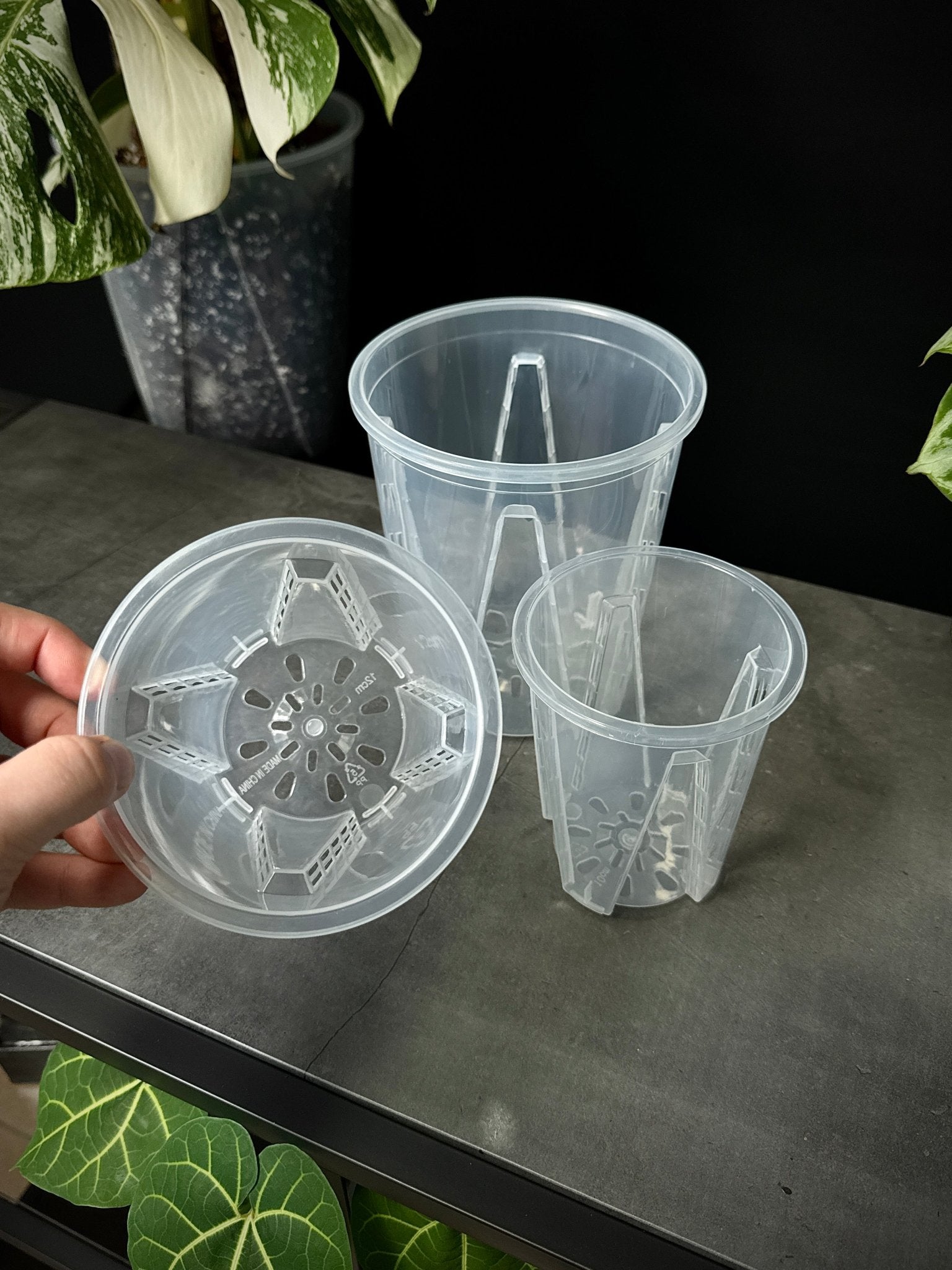 Clear Anti - Spiral Aroid Pots - SMUKHI