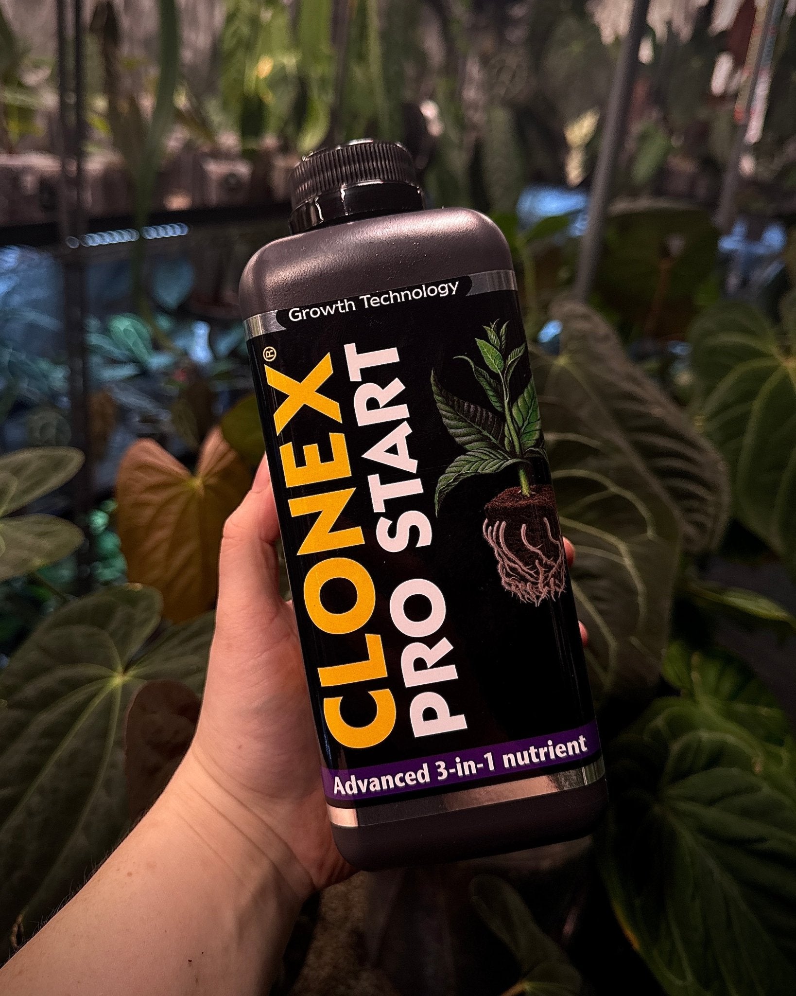 Clonex Pro Start Concentrate - SMUKHI