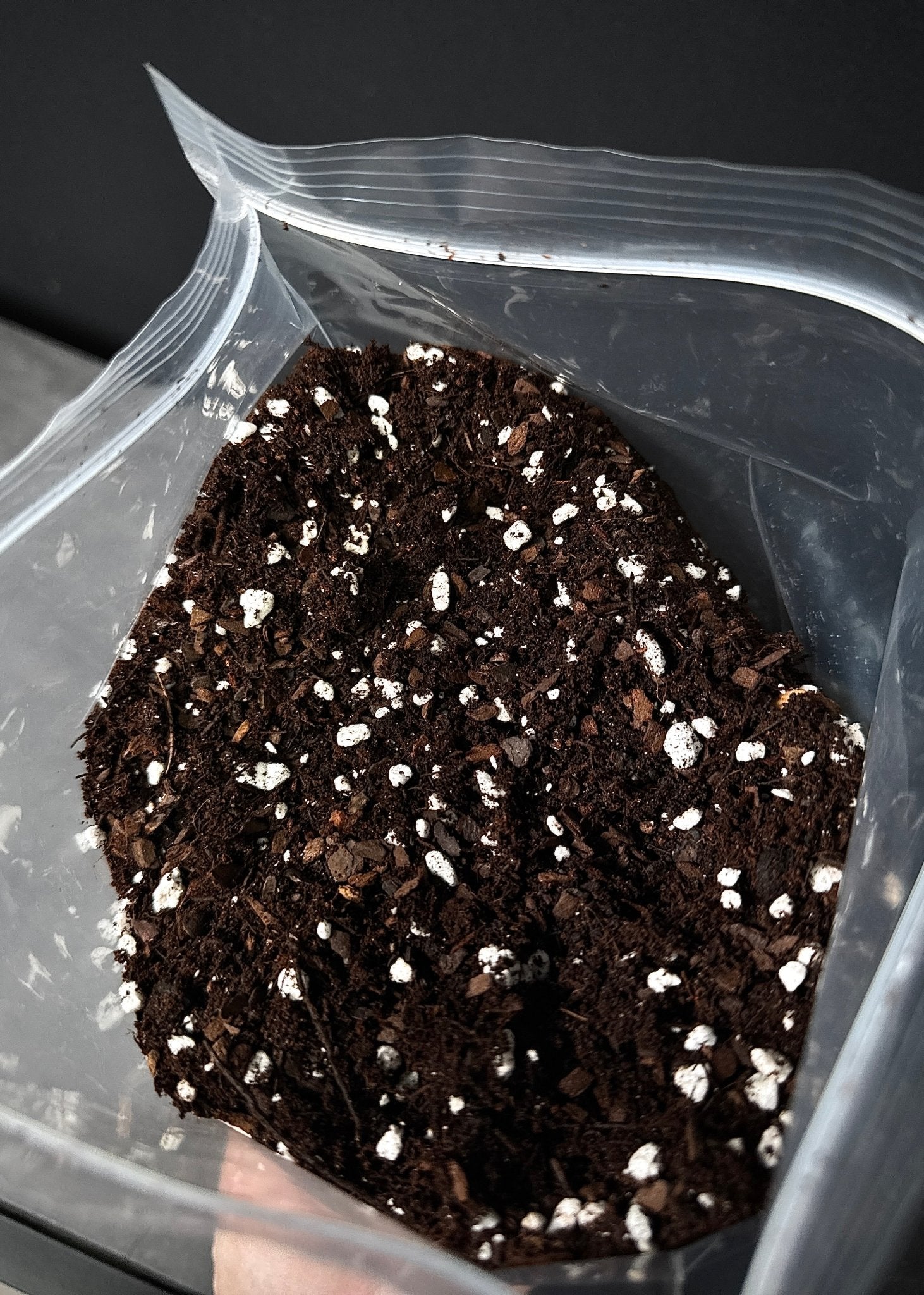 Fine Seedling Mix - 5L - SMUKHI