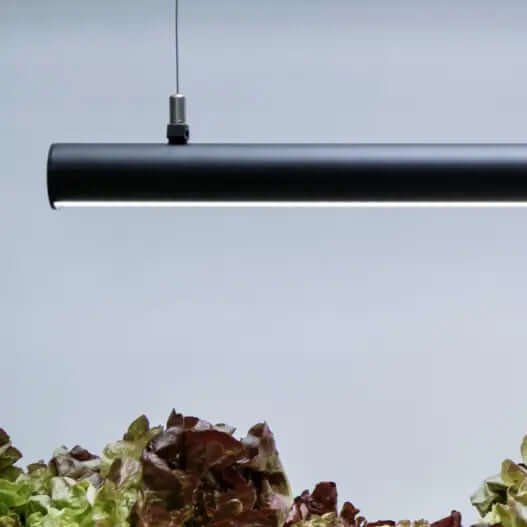 Mother Steel Wire Growlight Mounts for growlight accessories, durable steel wire supports for hanging growlights in indoor gardens.