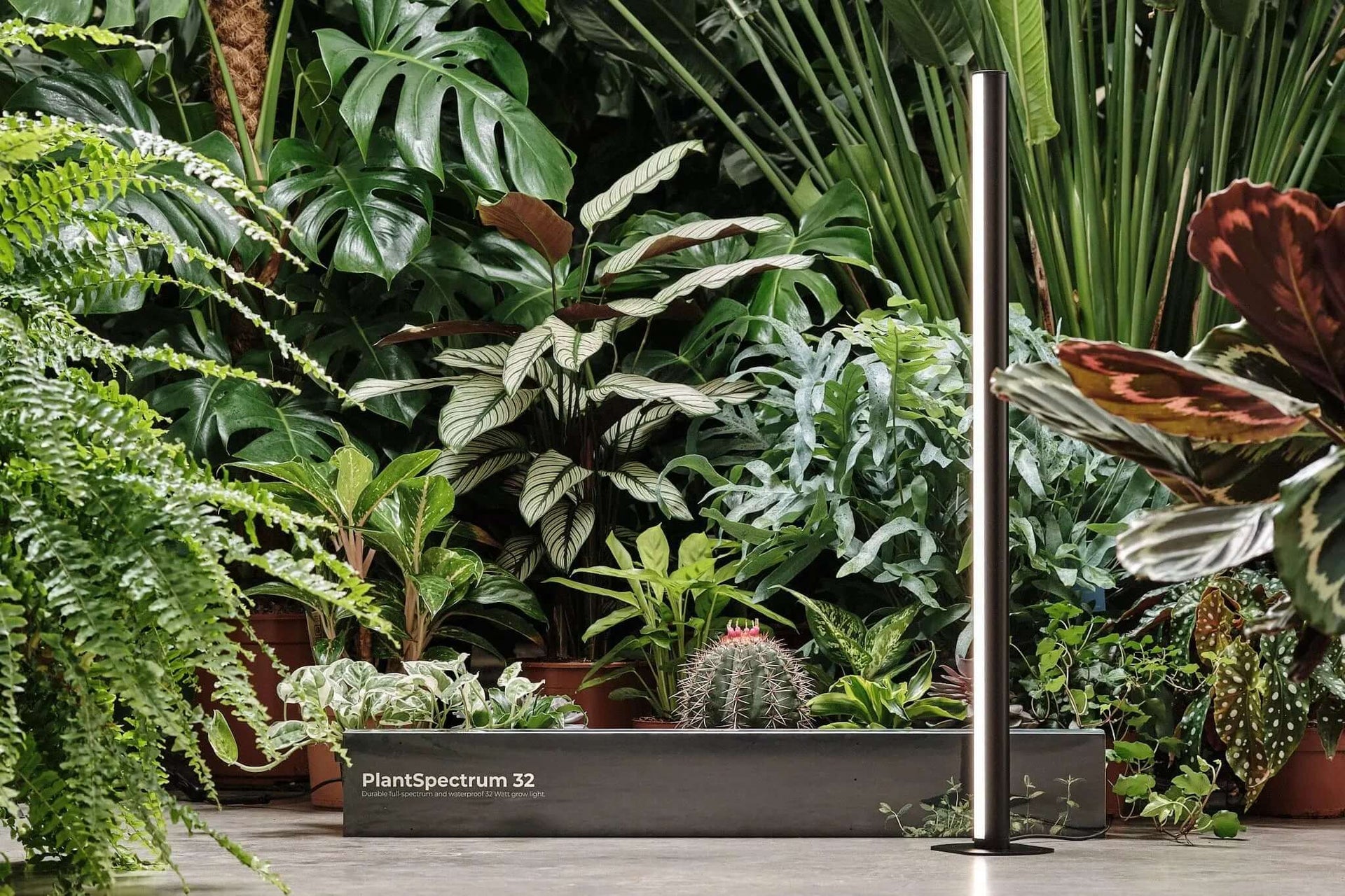mother plant grow light Mother PlantSpectrum 32