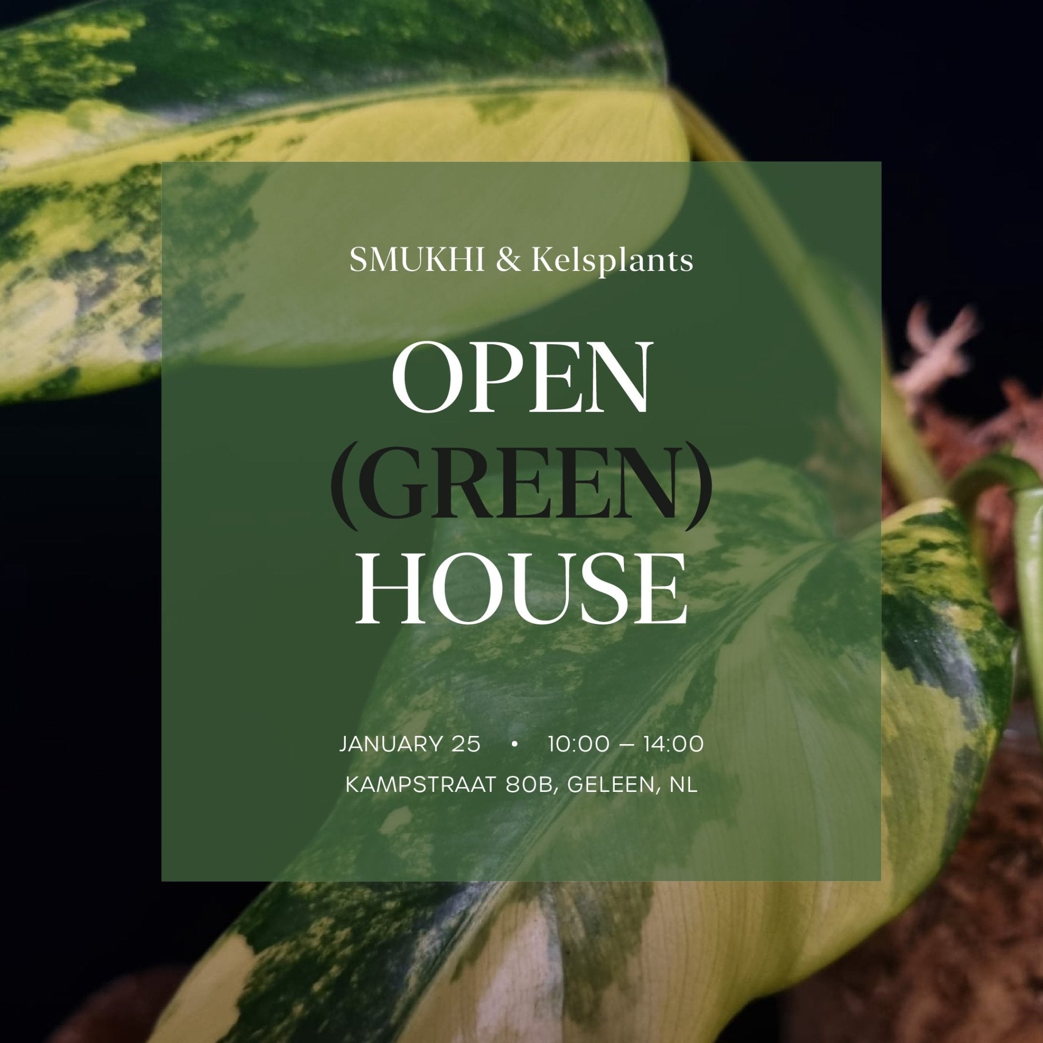 Open House - Free Entry Ticket - SMUKHI