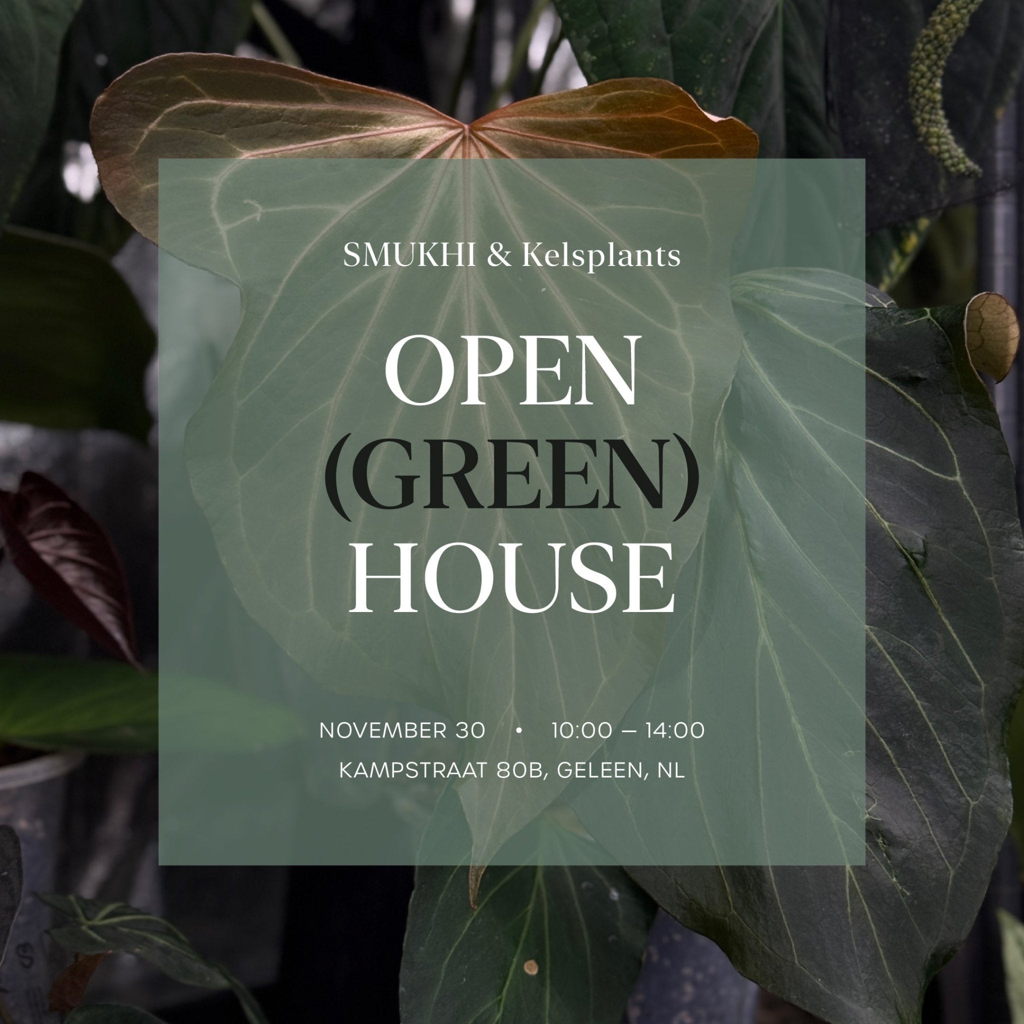 Open House - Free Entry Ticket - SMUKHI