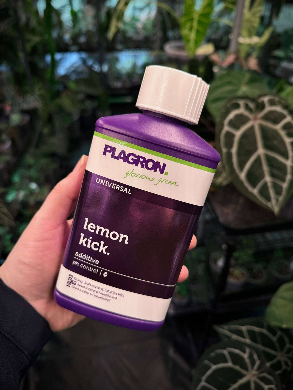 Plagron Lemon Kick PH Regulator - Organic Citric Acid Fertilizer For Plants (21x11x8cm)