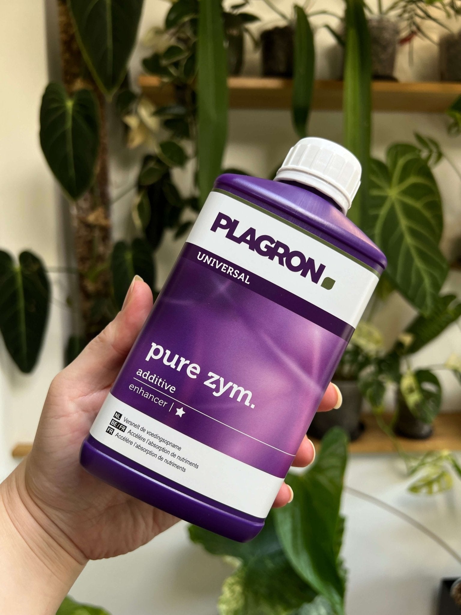 Plagron Pure Zym - SMUKHI