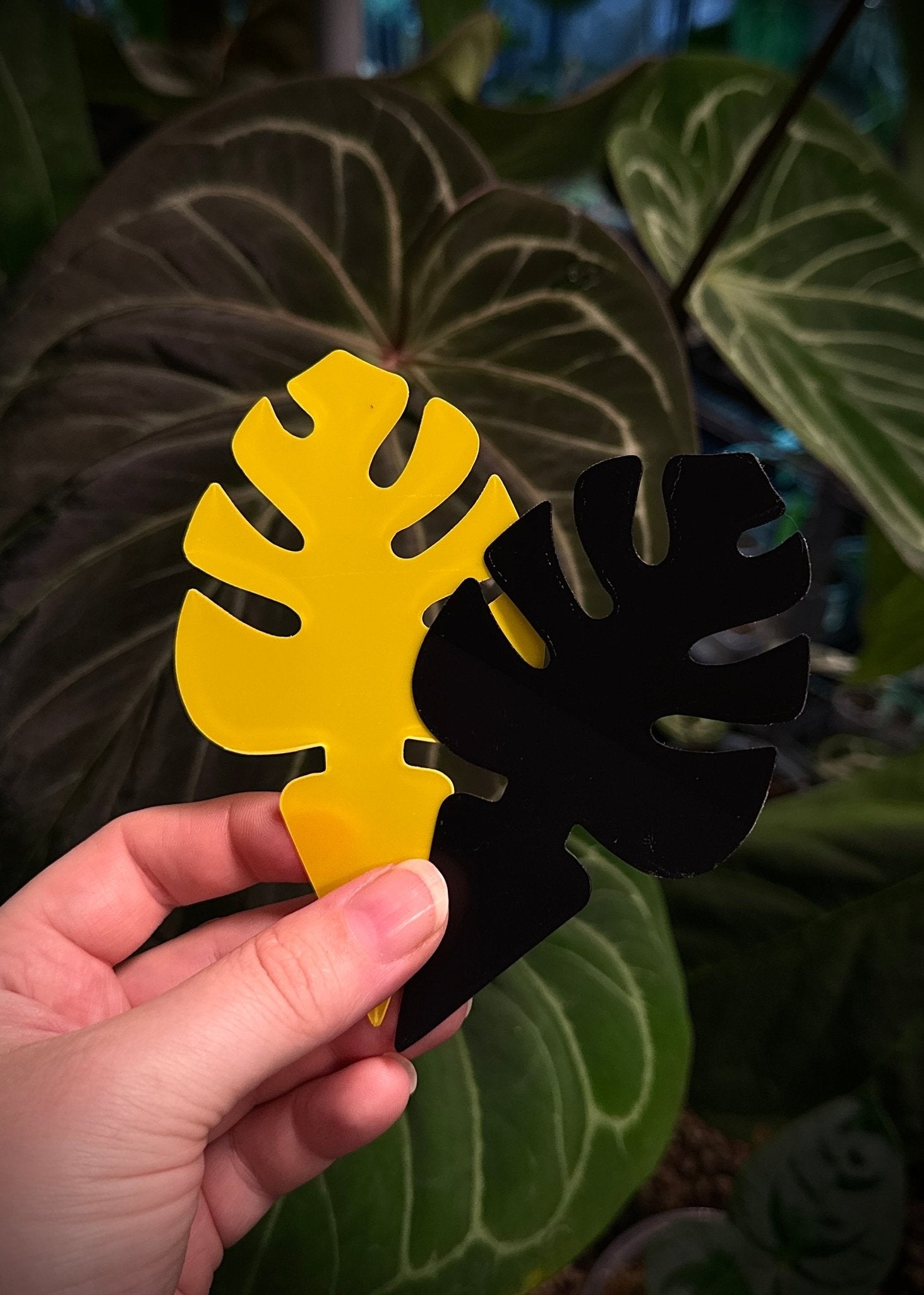 Set of 10 black SMUKHI sticky traps for pest control, designed to catch insects effectively in indoor or outdoor spaces.